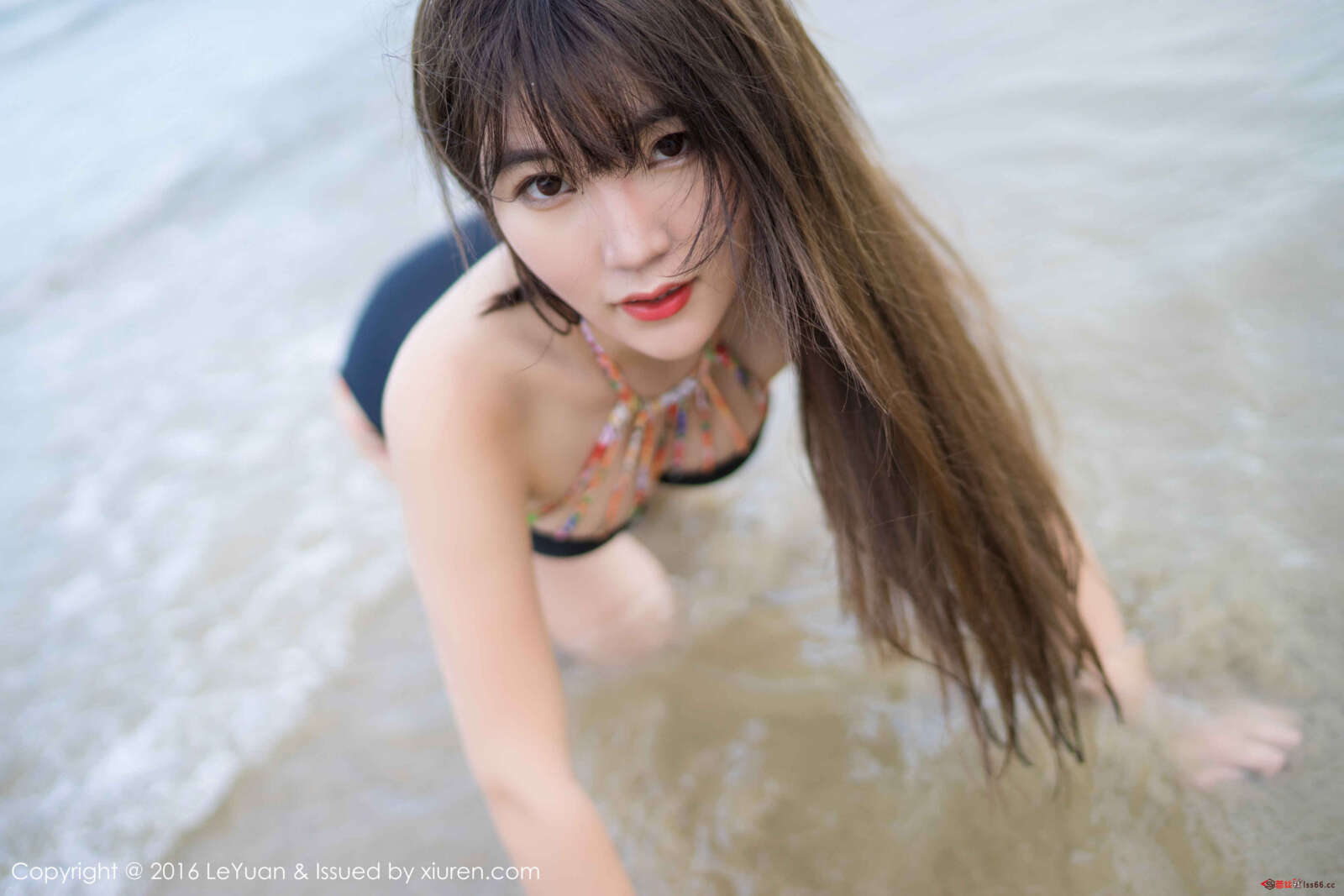 https://www.lss77.com/wp-content/uploads/2018/01/009-1-1600x1067.jpg