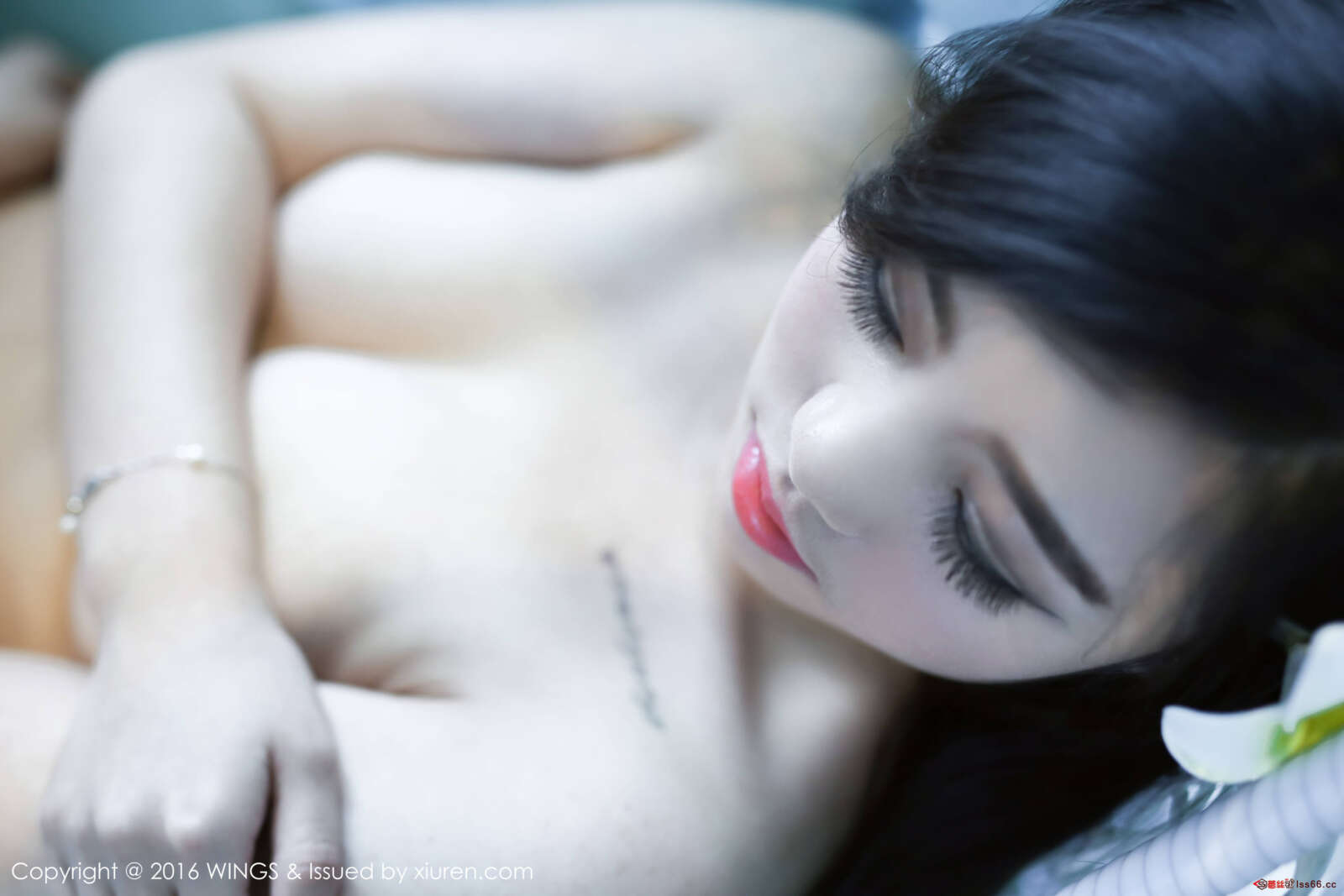 https://www.lss77.com/wp-content/uploads/2018/01/1626541686-28fd0fbd334515d-1600x1067.jpg