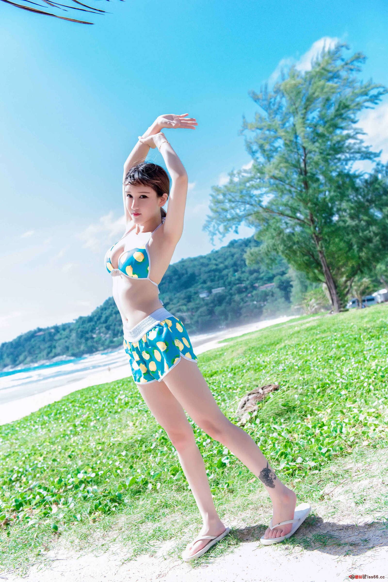 https://www.lss77.com/wp-content/uploads/2019/01/0012-75-1600x2400.jpg