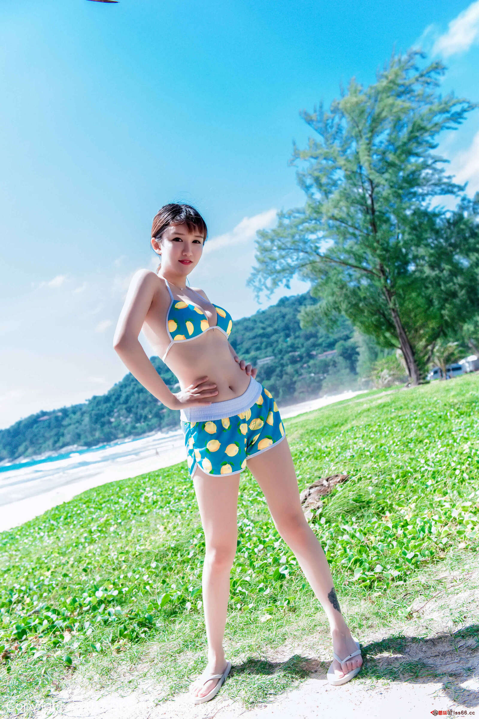 https://www.lss77.com/wp-content/uploads/2019/01/0013-74-1600x2400.jpg