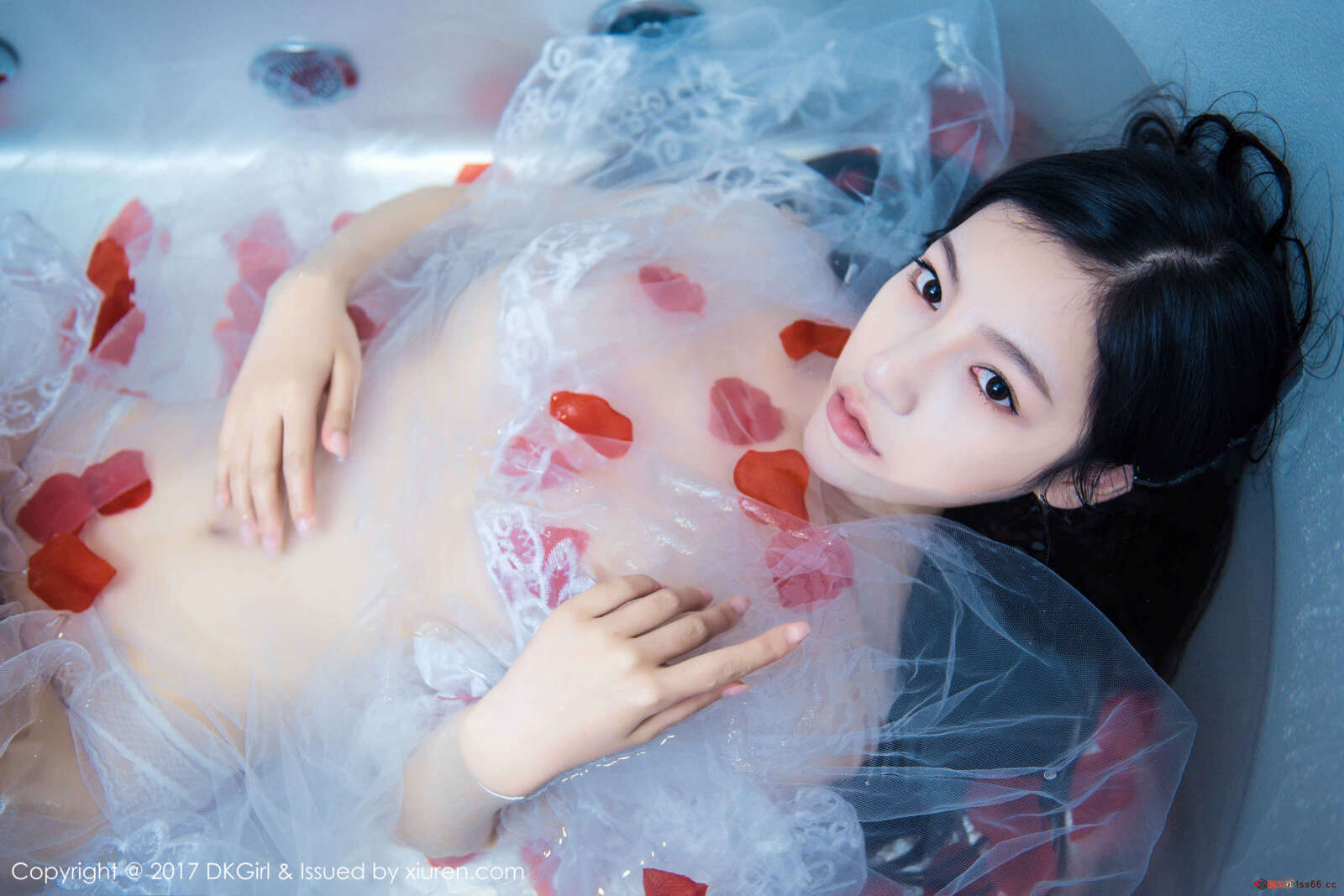 https://www.lss77.com/wp-content/uploads/2019/01/0036-74-1600x1067.jpg