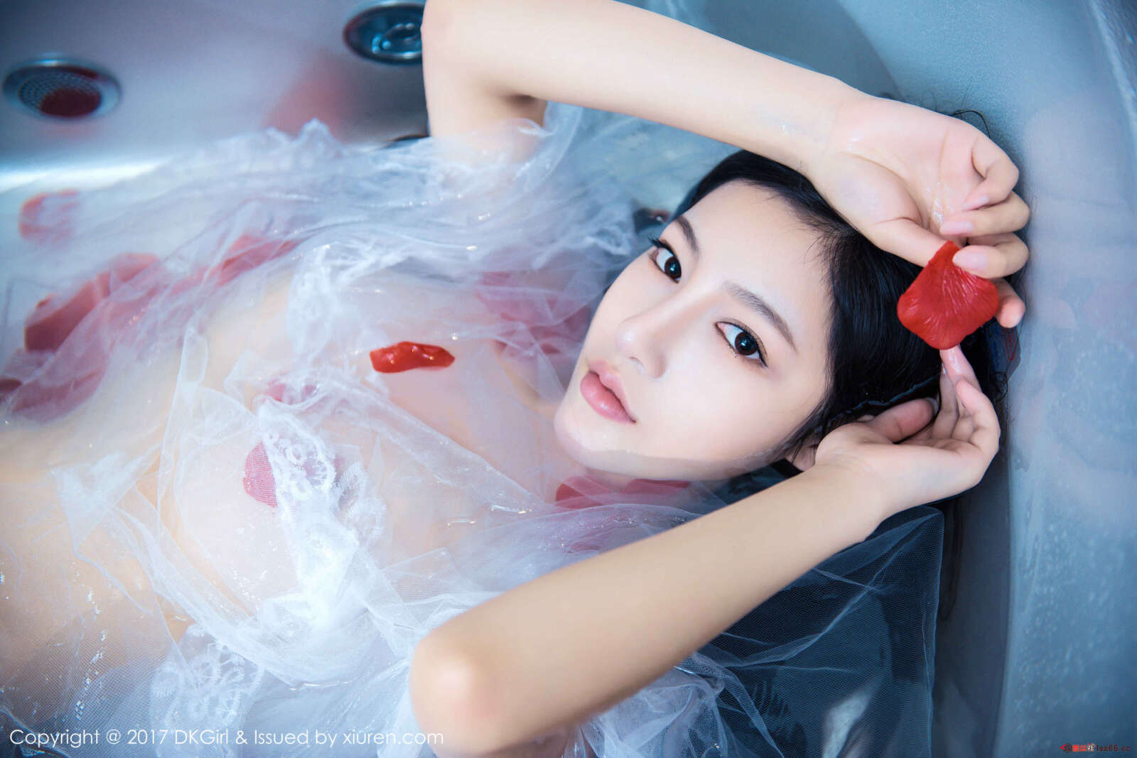 https://www.lss77.com/wp-content/uploads/2019/01/0040-74-1600x1067.jpg
