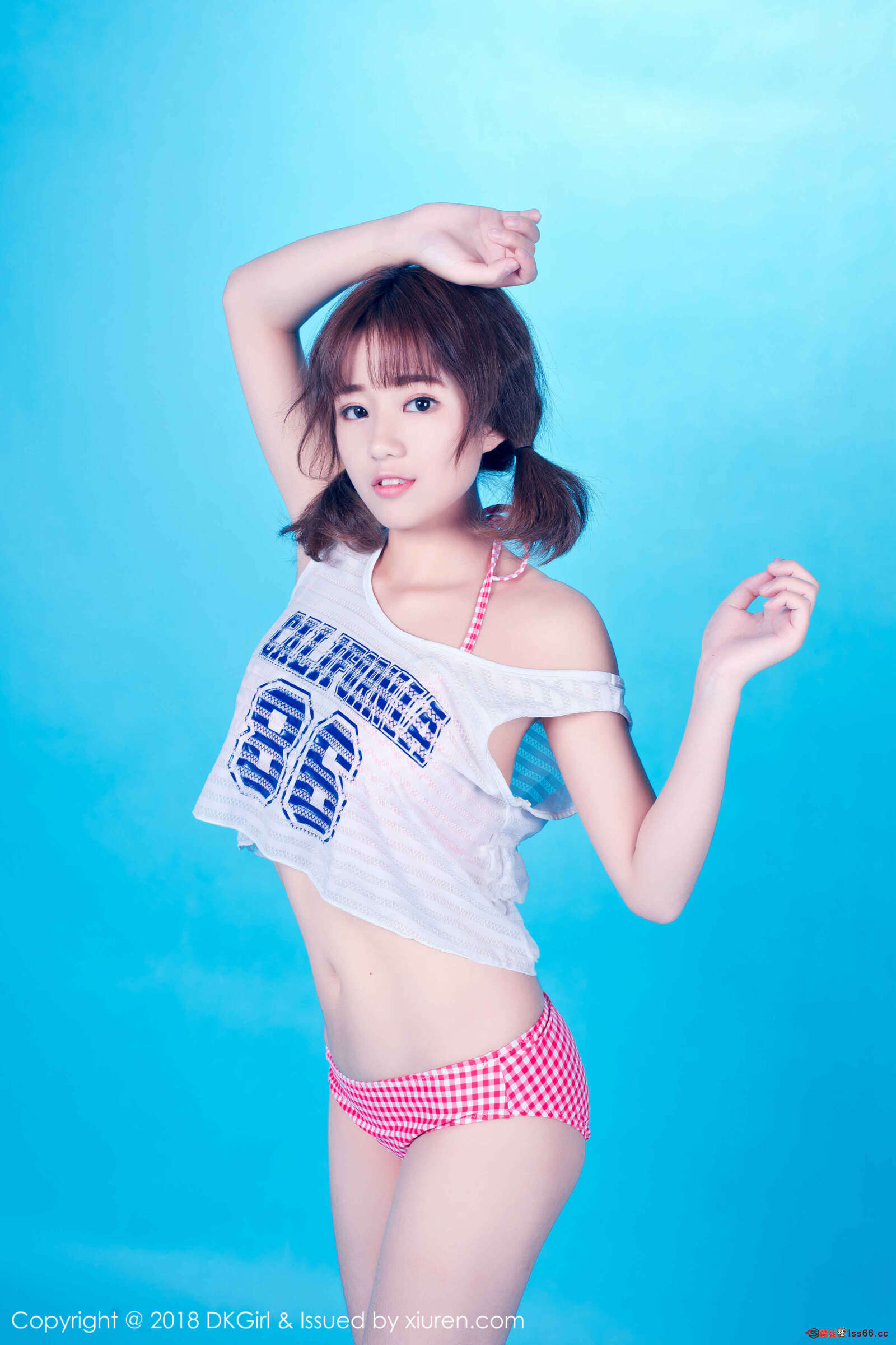 https://www.lss77.com/wp-content/uploads/2019/01/0040-87-1600x2400.jpg