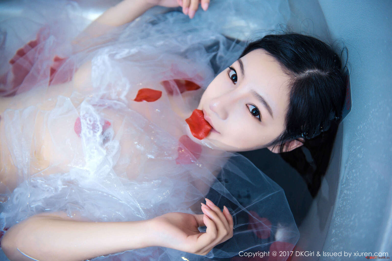 https://www.lss77.com/wp-content/uploads/2019/01/0041-73-1600x1067.jpg