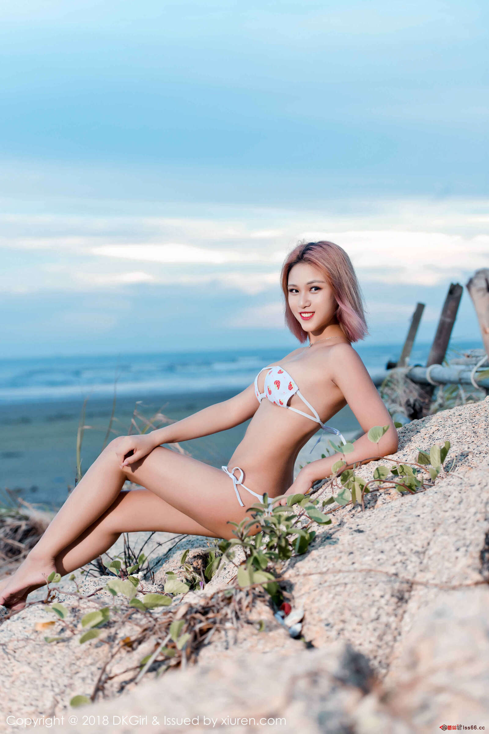 https://www.lss77.com/wp-content/uploads/2019/01/0048-120-1600x2400.jpg