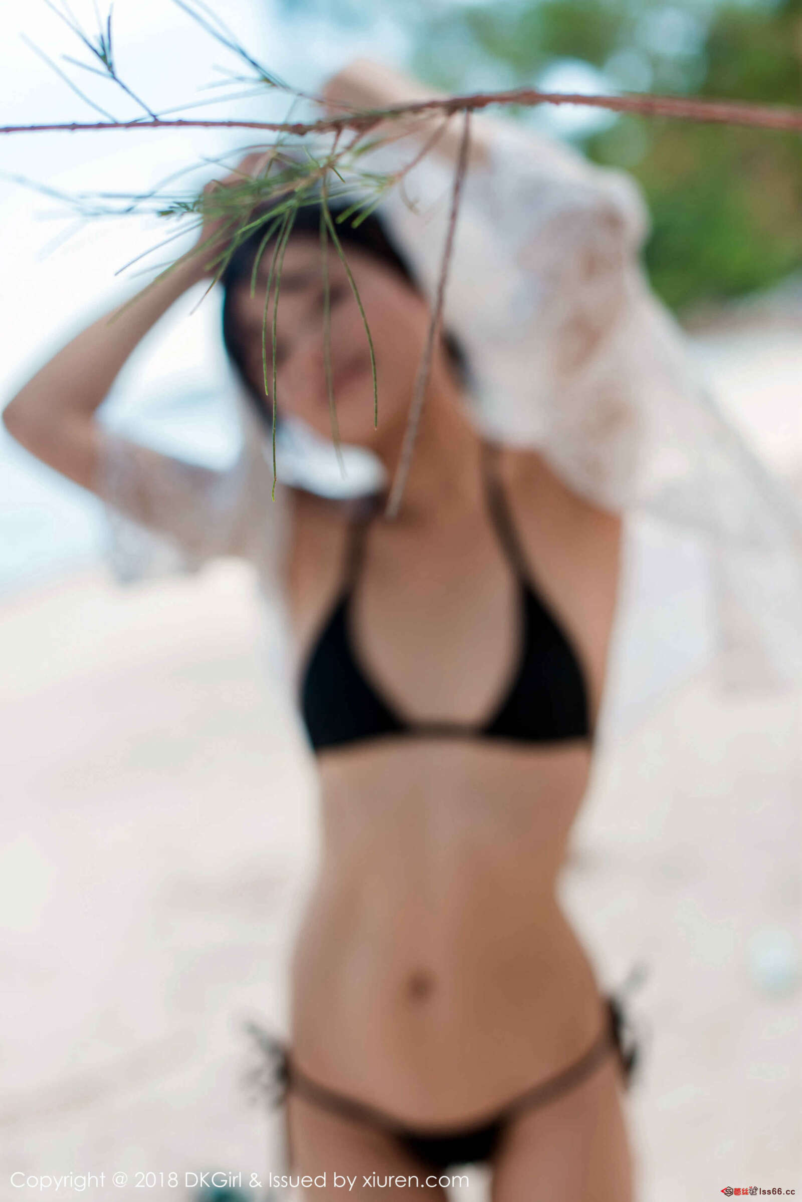 https://www.lss77.com/wp-content/uploads/2019/01/0051-67-1600x2397.jpg