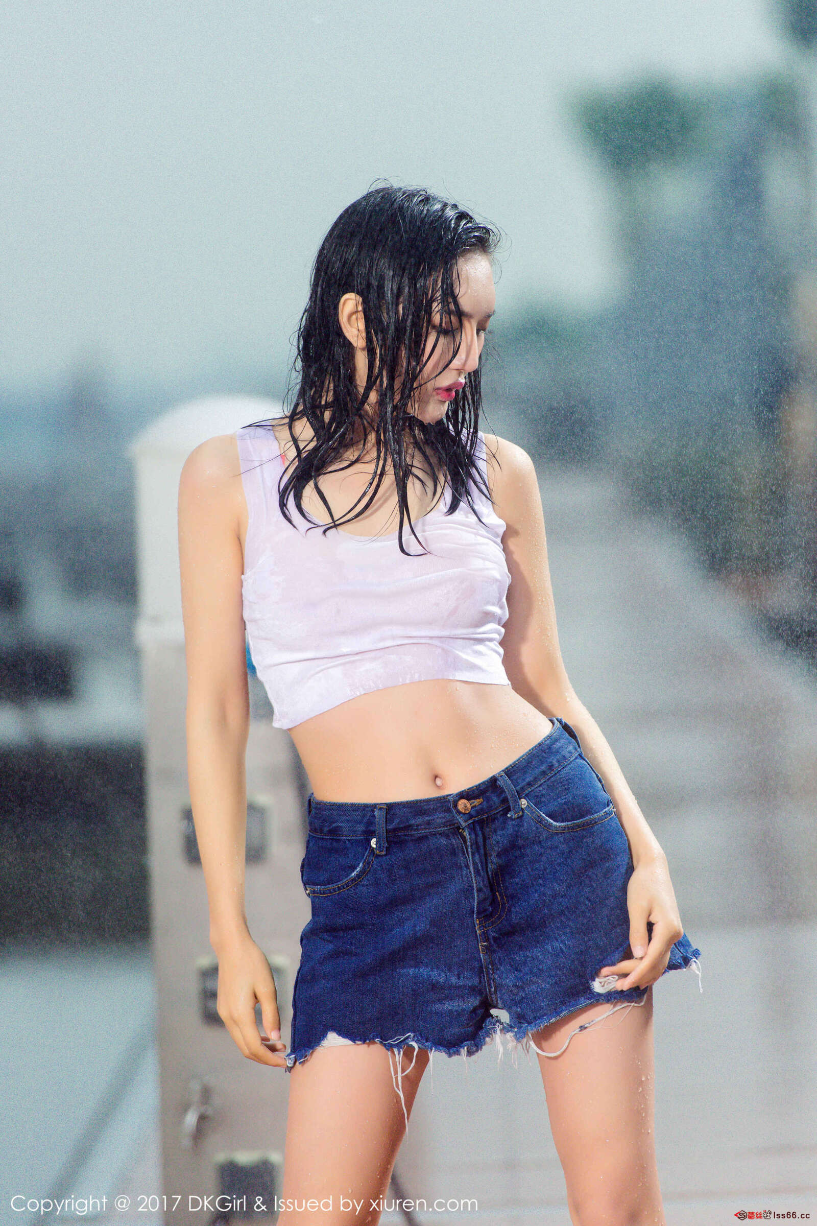 https://www.lss77.com/wp-content/uploads/2019/01/0052-85-1600x2400.jpg