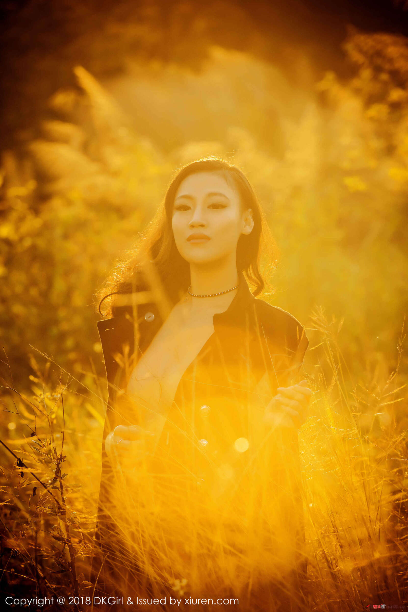 https://www.lss77.com/wp-content/uploads/2019/01/0052-86-1600x2400.jpg