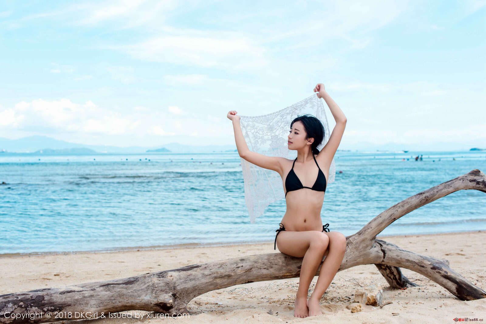 https://www.lss77.com/wp-content/uploads/2019/01/0056-12-1600x1067.jpg