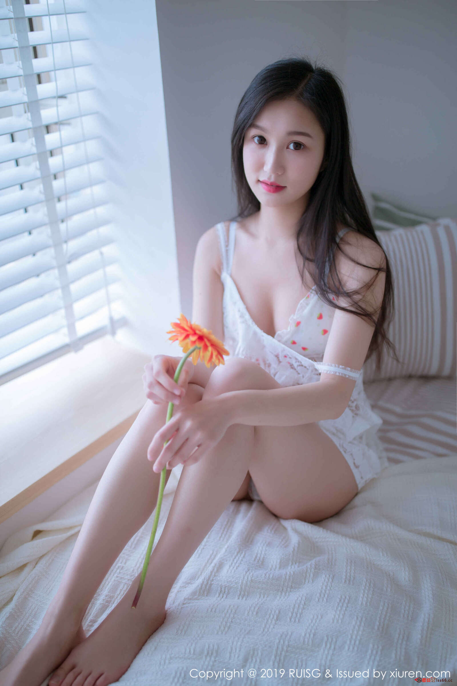https://www.lss77.com/wp-content/uploads/2019/01/01-73-1600x2400.jpg