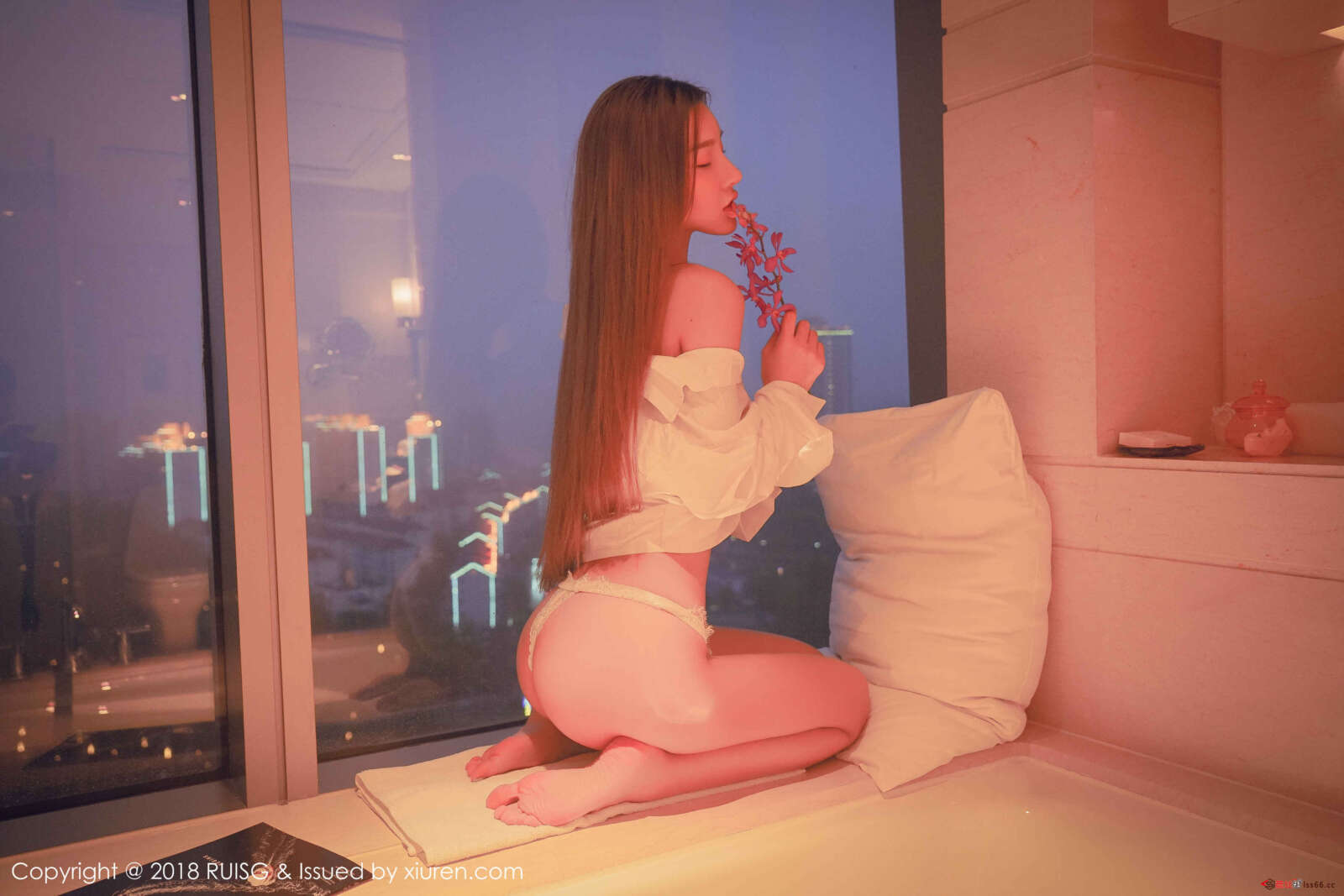 https://www.lss77.com/wp-content/uploads/2019/01/010-33-1600x1067.jpg