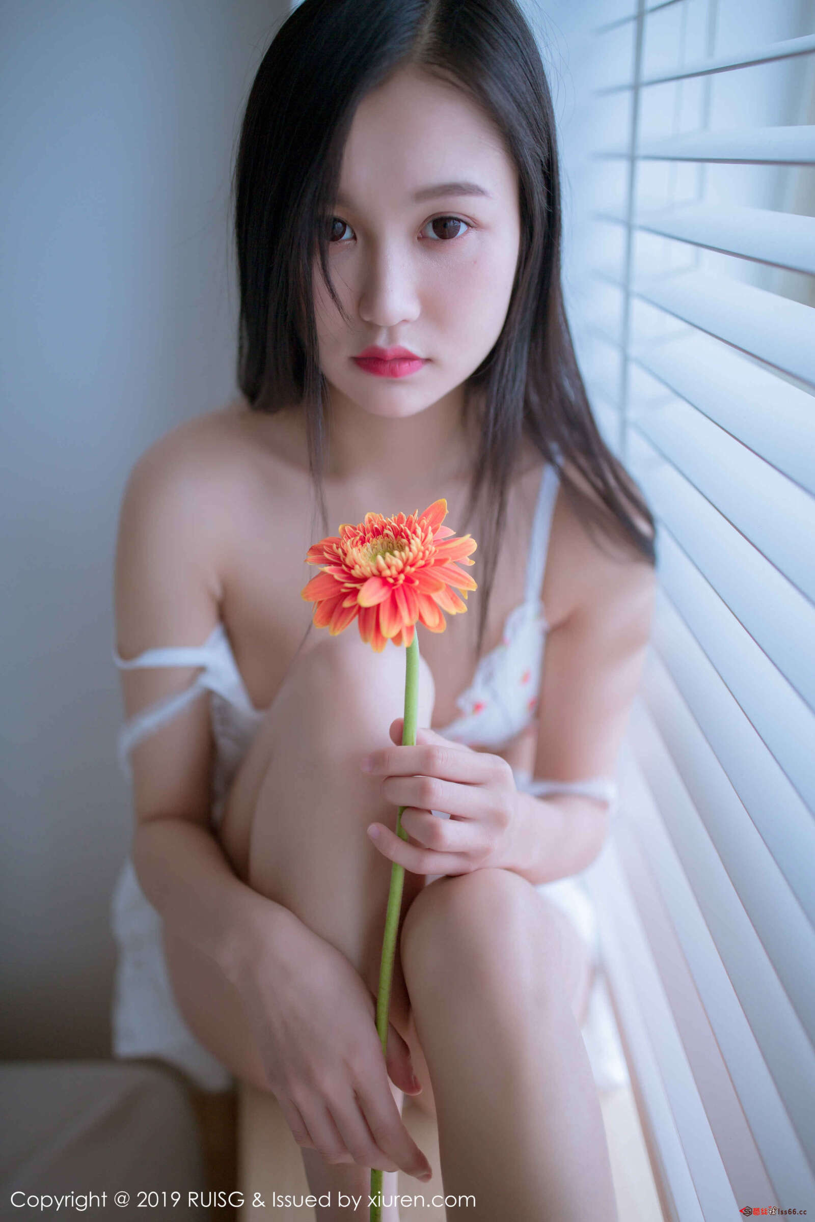 https://www.lss77.com/wp-content/uploads/2019/01/012-73-1600x2400.jpg