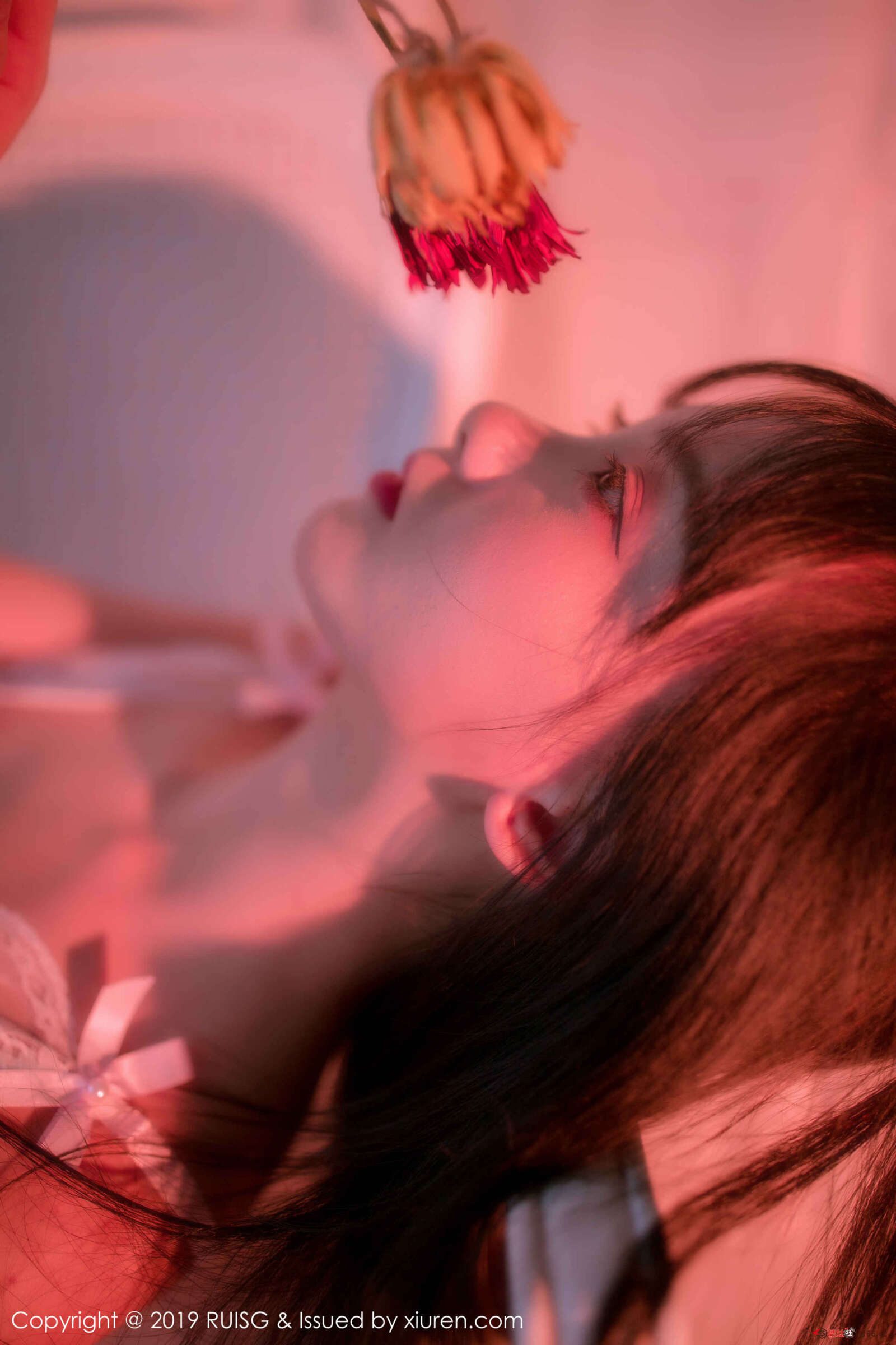 https://www.lss77.com/wp-content/uploads/2019/01/024-57-1600x2400.jpg