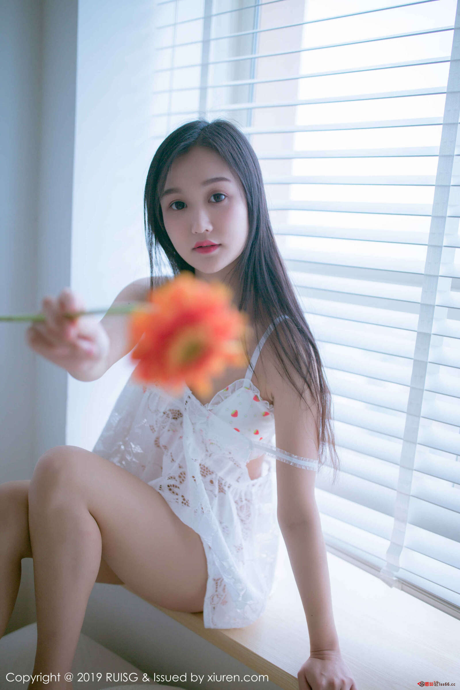 https://www.lss77.com/wp-content/uploads/2019/01/07-73-1600x2400.jpg