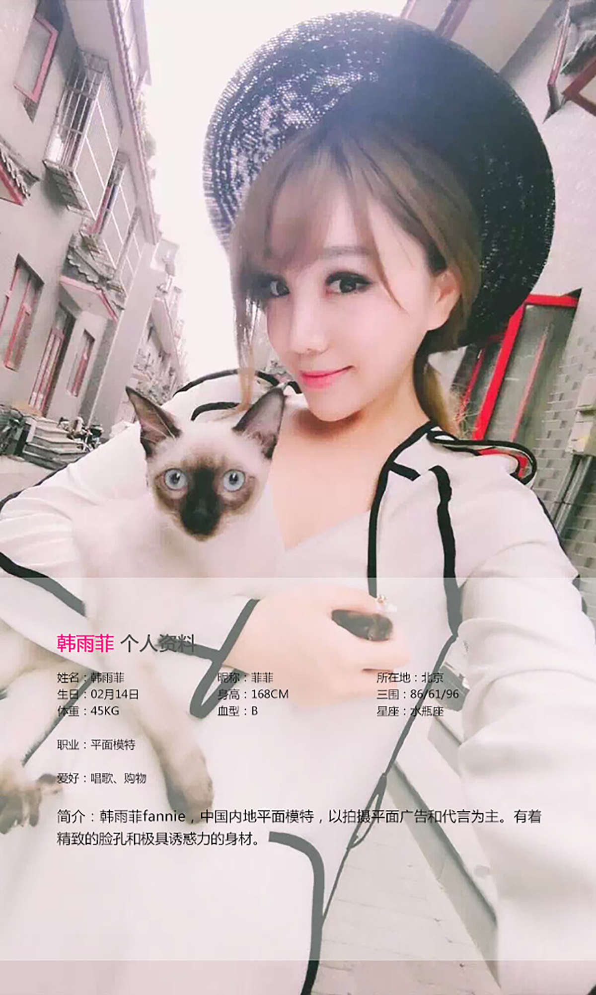 https://www.lss77.com/wp-content/uploads/2019/01/2433.jpg