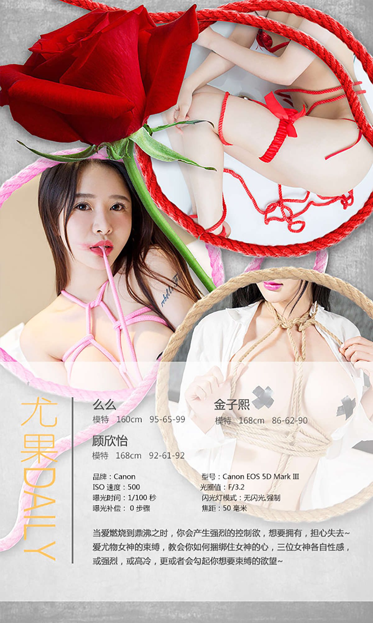 https://www.lss77.com/wp-content/uploads/2019/01/3097-1.jpg