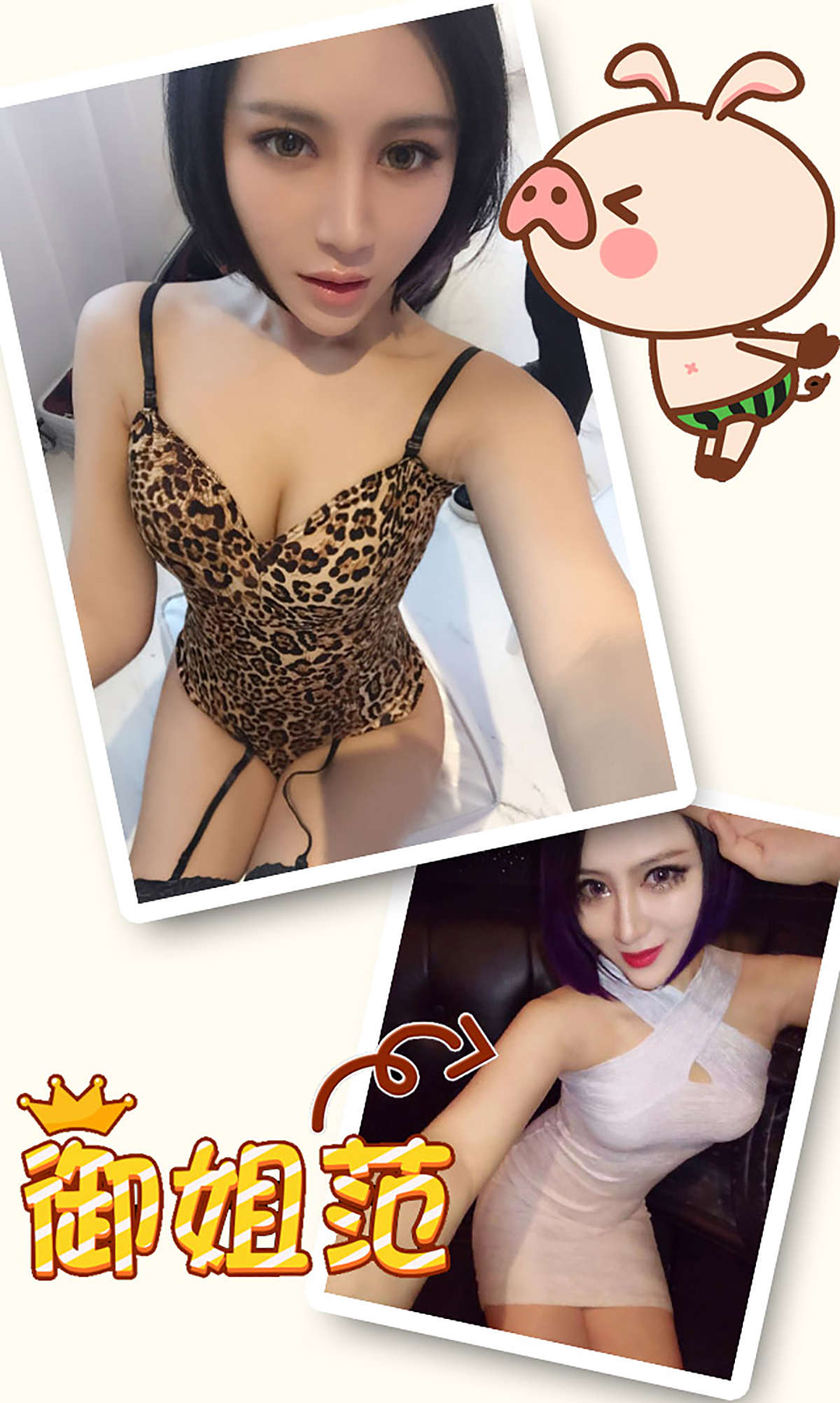 https://www.lss77.com/wp-content/uploads/2019/01/3173-1.jpg