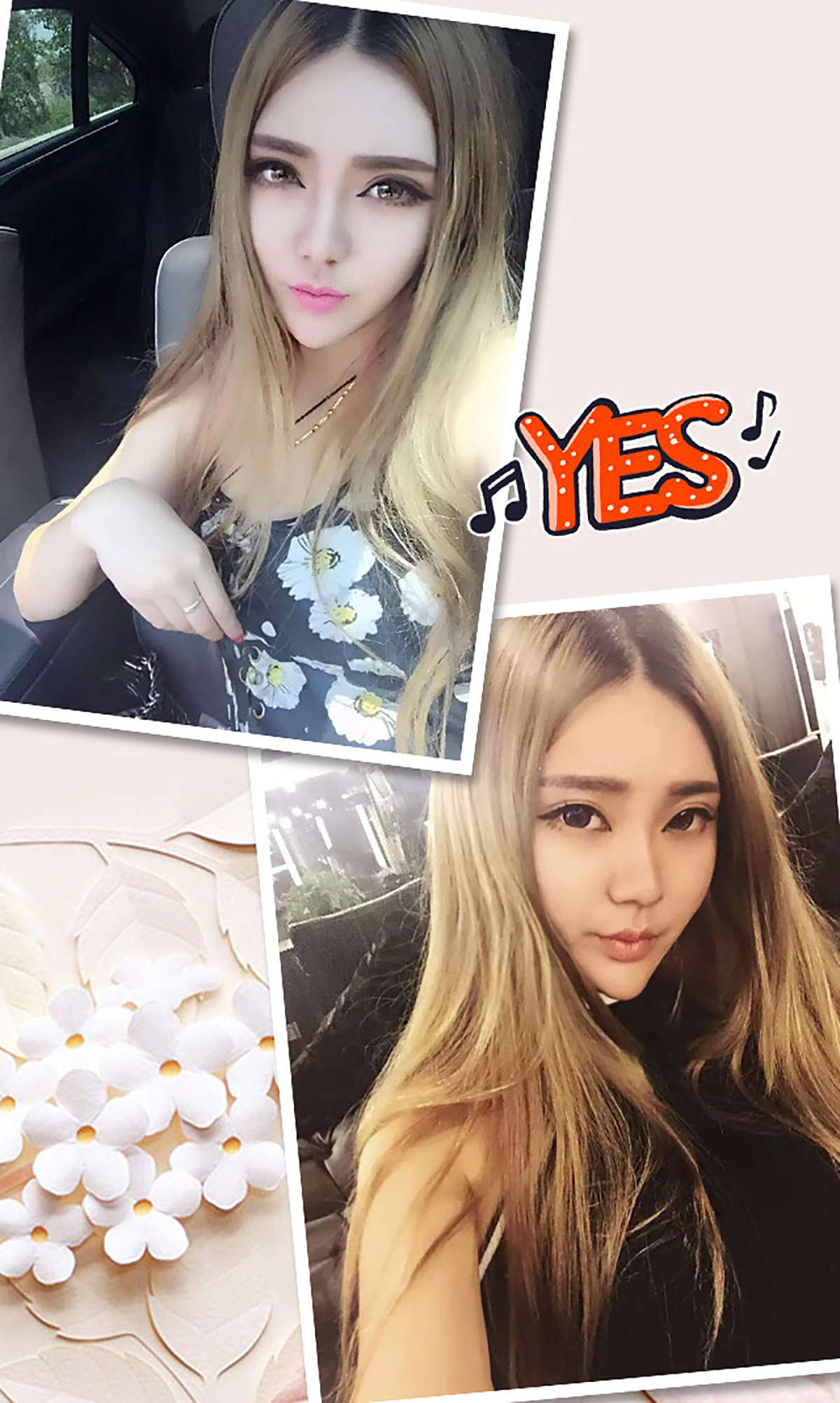 https://www.lss77.com/wp-content/uploads/2019/01/4855.jpg