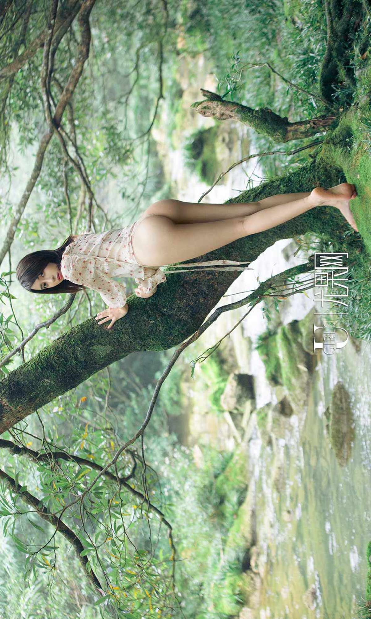 https://www.lss77.com/wp-content/uploads/2019/02/0033-3.jpg