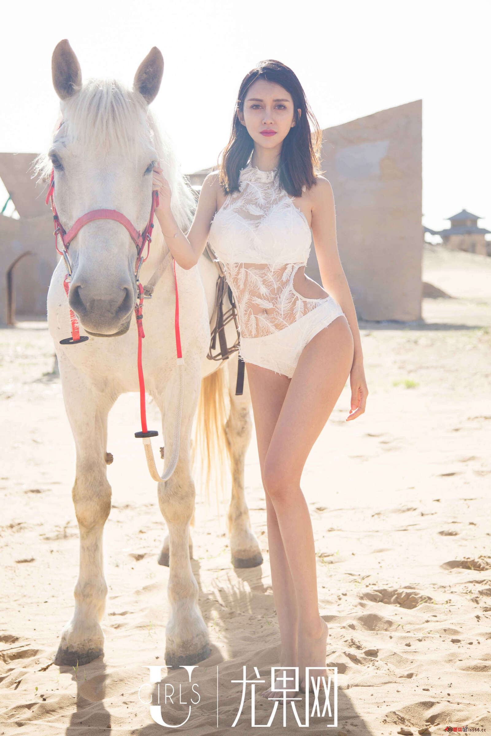 https://www.lss77.com/wp-content/uploads/2019/04/0012-172-1600x2400.jpg