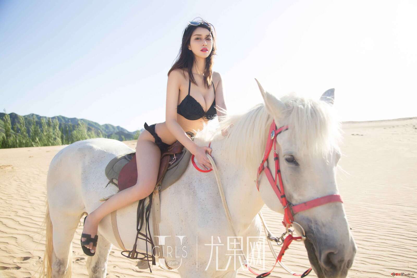 https://www.lss77.com/wp-content/uploads/2019/04/0042-9-1600x1067.jpg