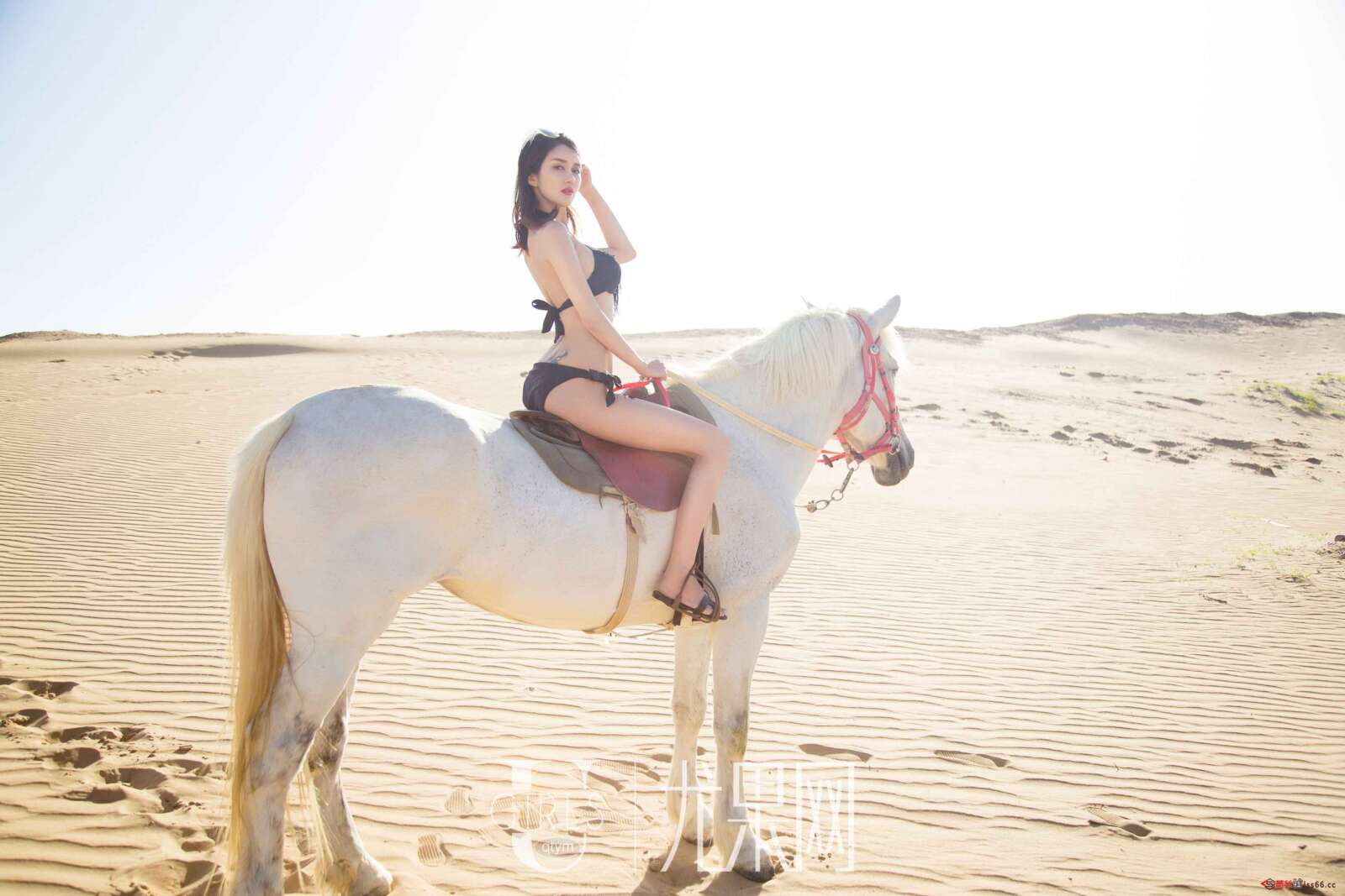https://www.lss77.com/wp-content/uploads/2019/04/0044-9-1600x1067.jpg