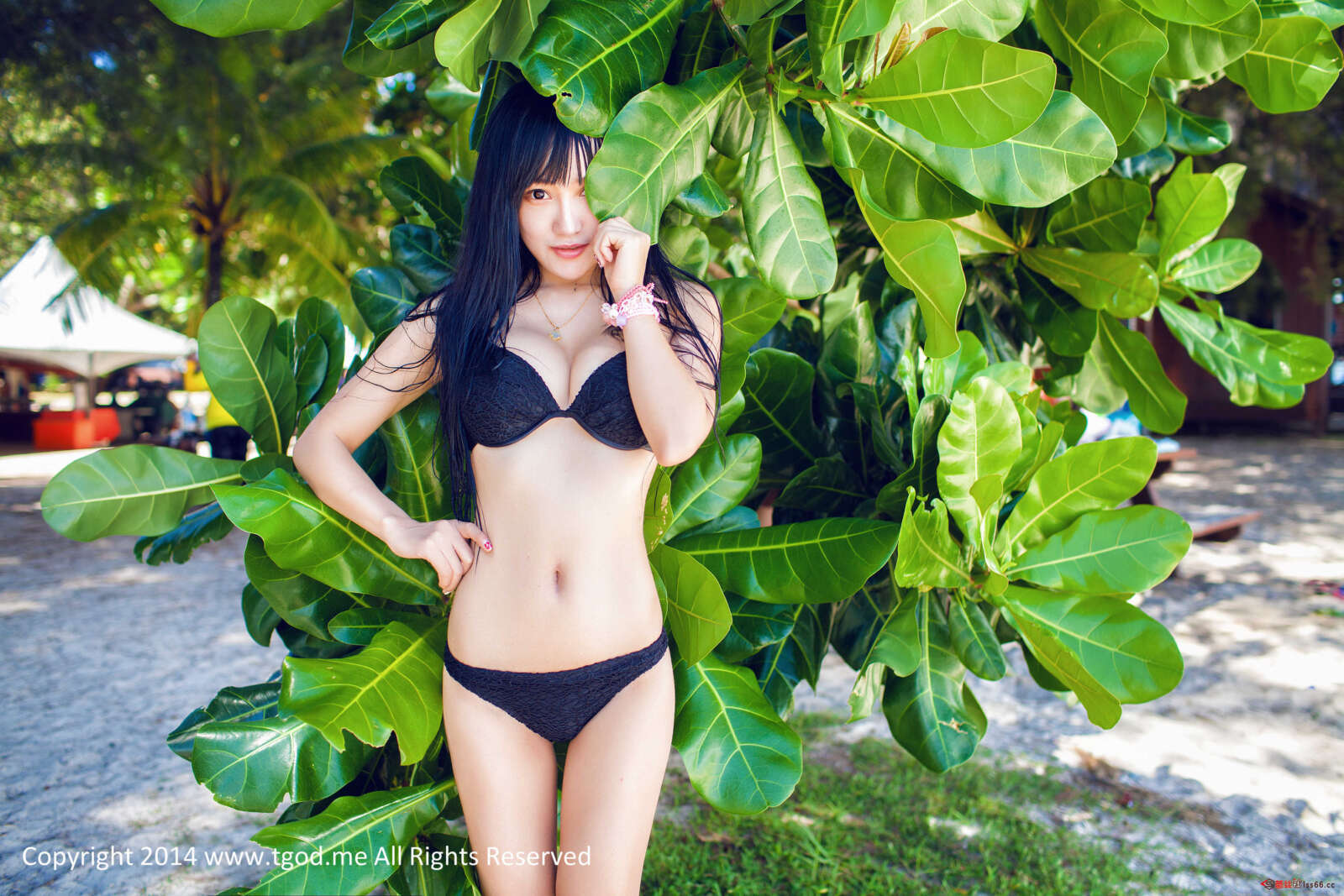 https://www.lss77.com/wp-content/uploads/2019/04/023-81-1600x1067.jpg