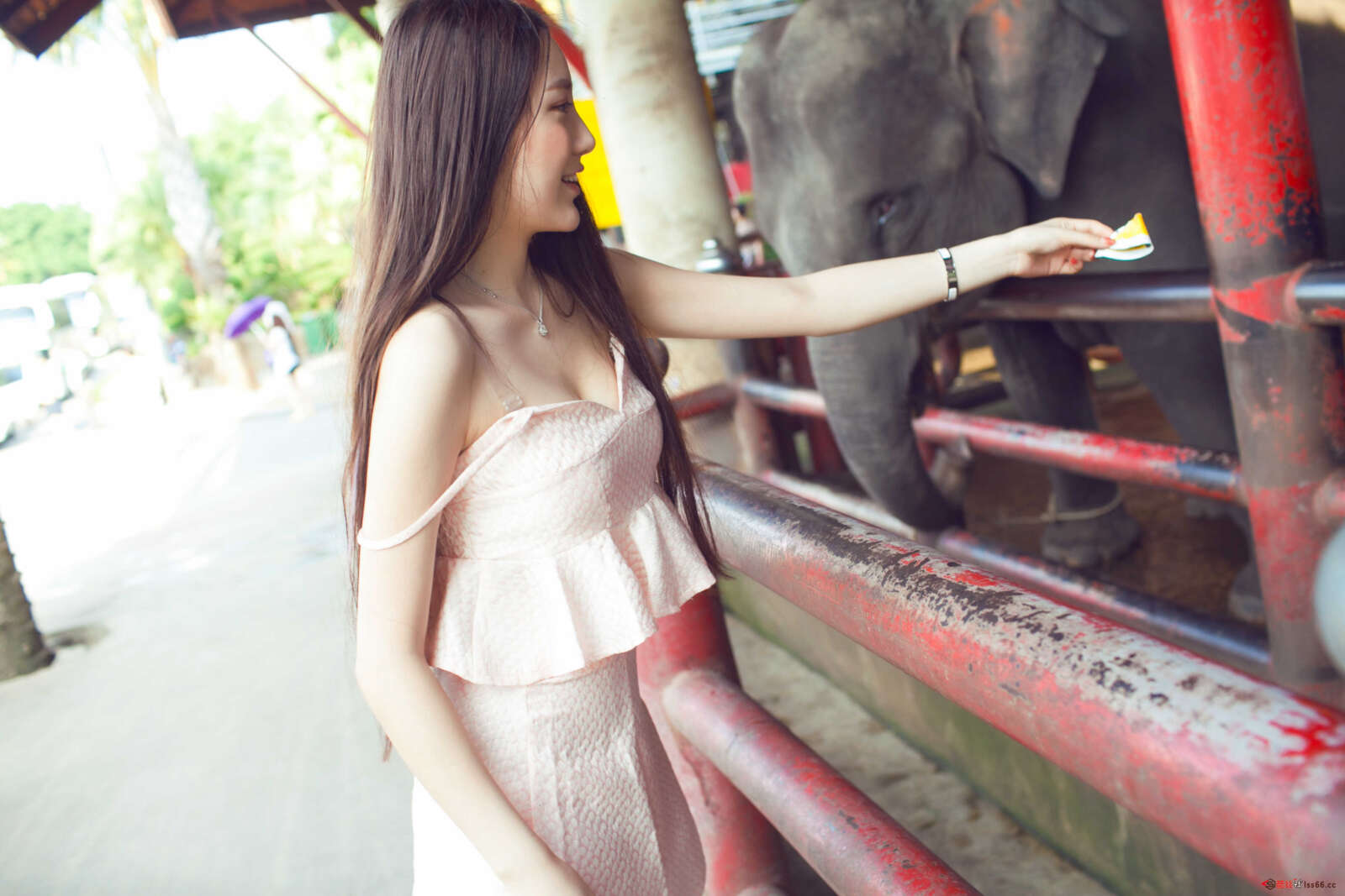 https://www.lss77.com/wp-content/uploads/2019/04/16-111-1600x1067.jpg