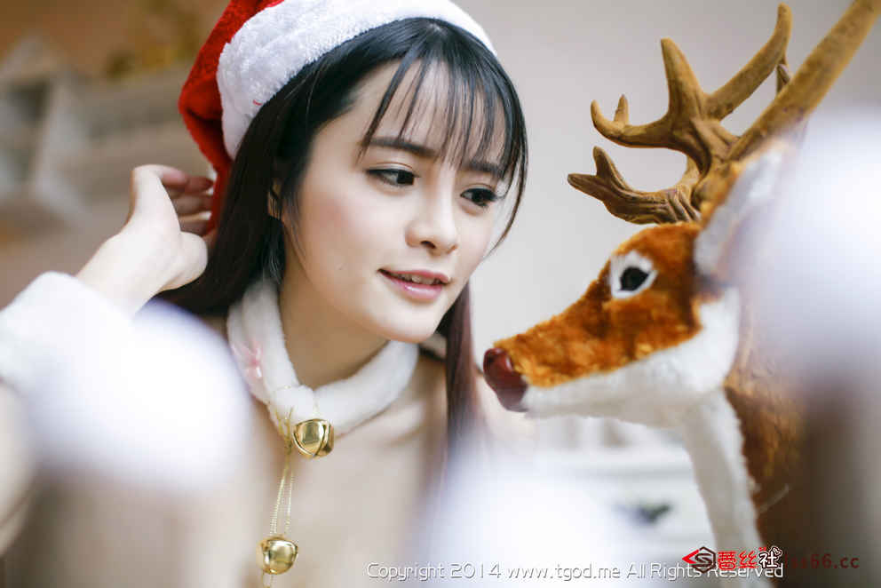 https://www.lss77.com/wp-content/uploads/2019/04/2014-12-24_072.jpg