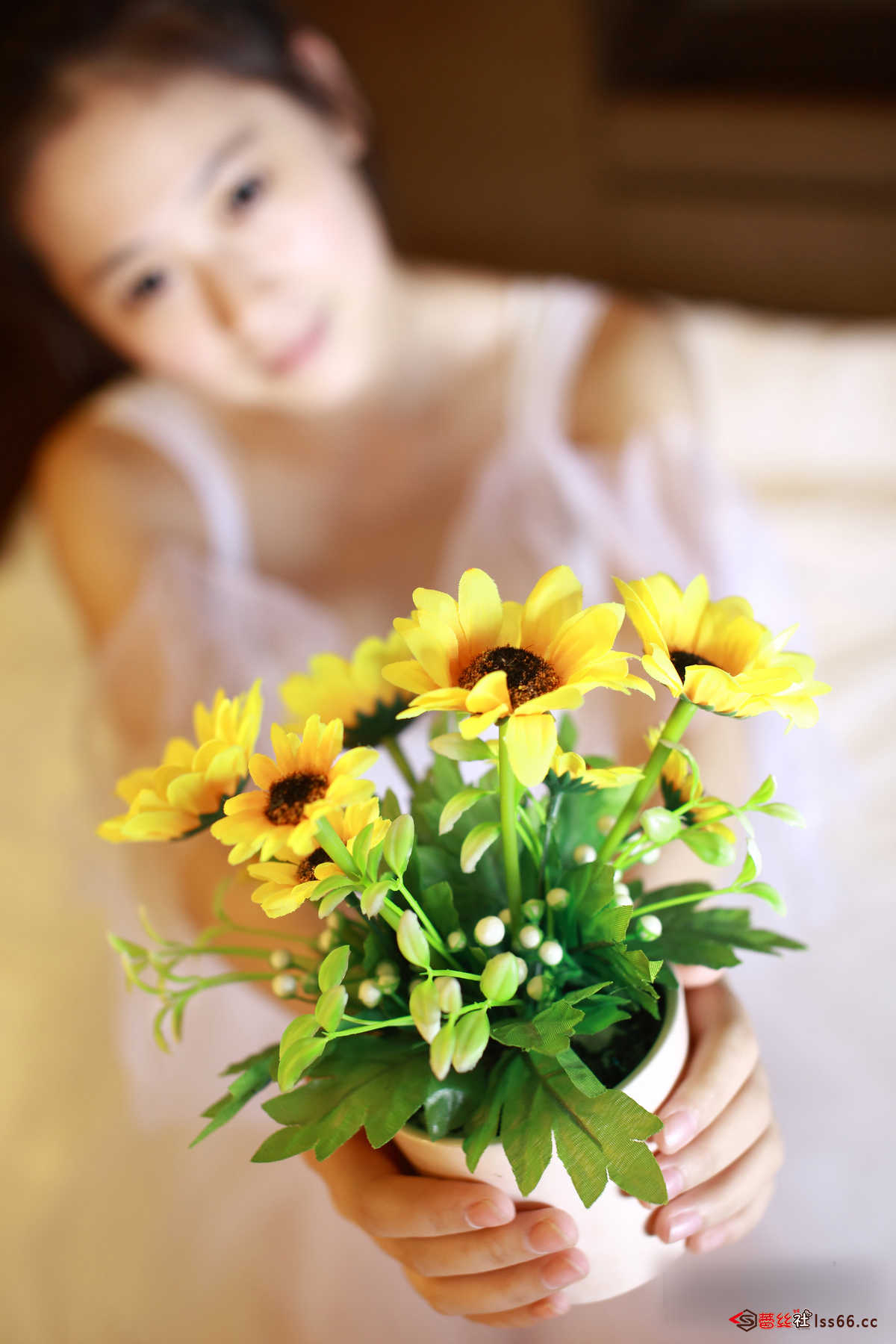 https://www.lss77.com/wp-content/uploads/2019/04/25-139.jpg