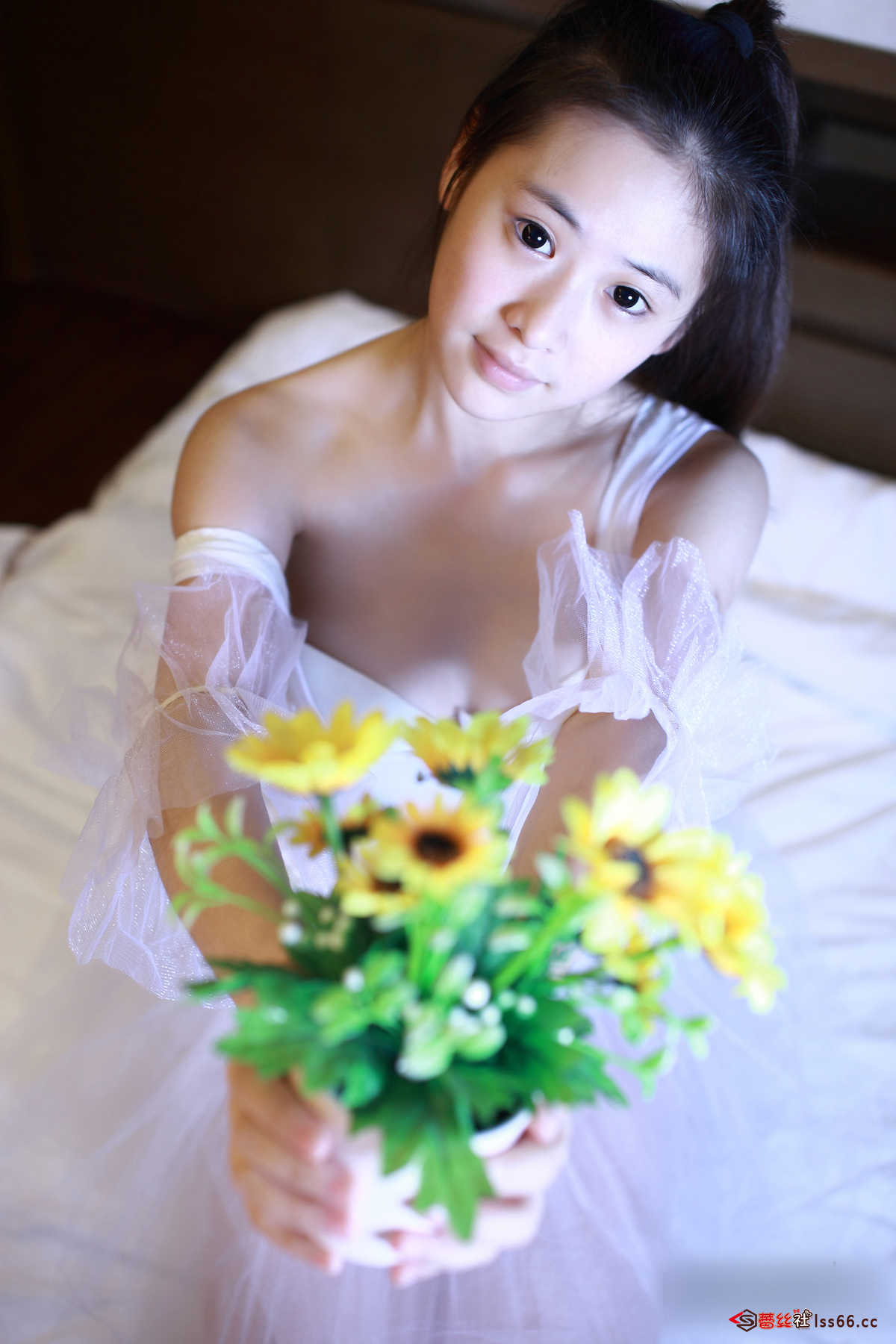 https://www.lss77.com/wp-content/uploads/2019/04/27-140.jpg