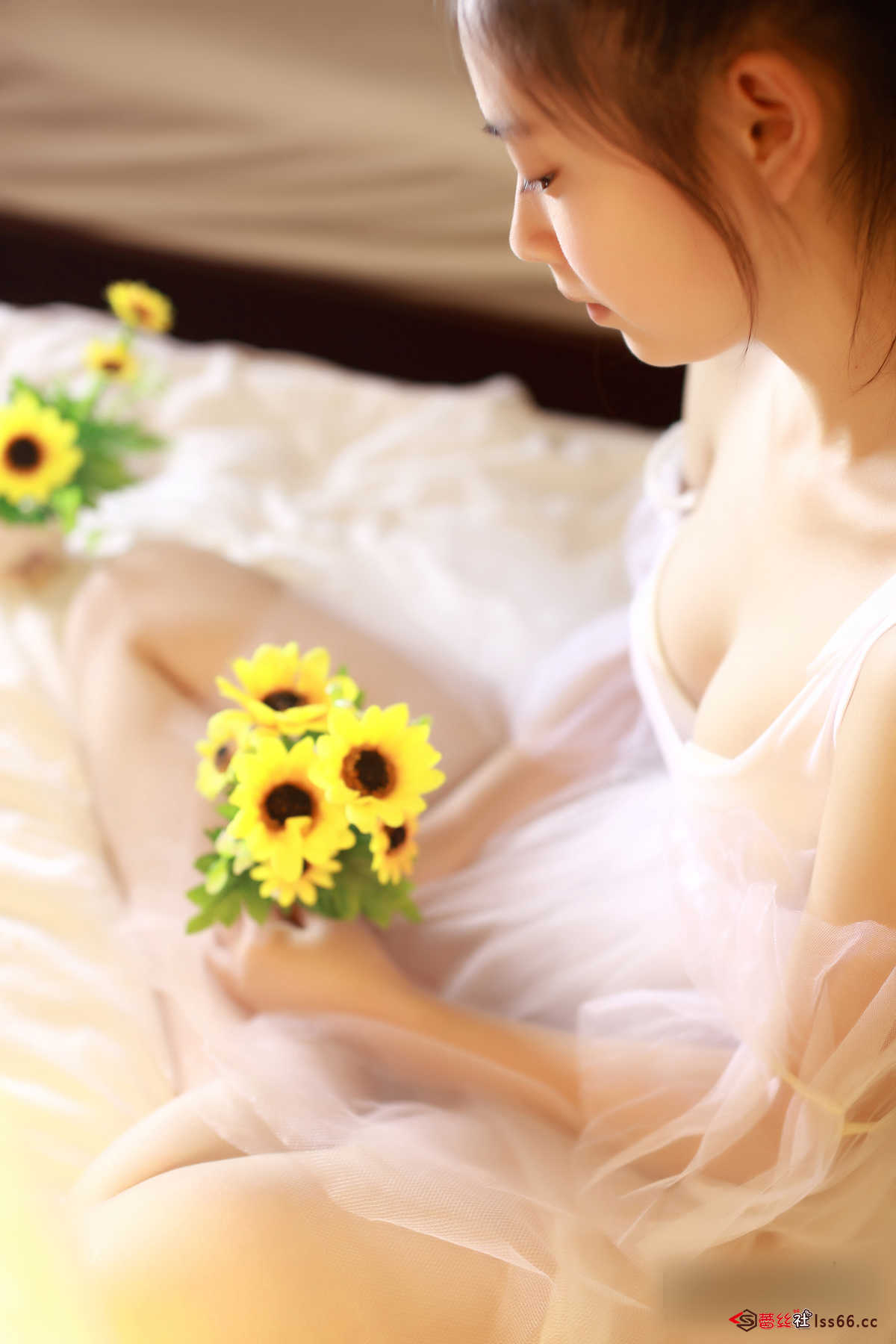 https://www.lss77.com/wp-content/uploads/2019/04/34-137.jpg