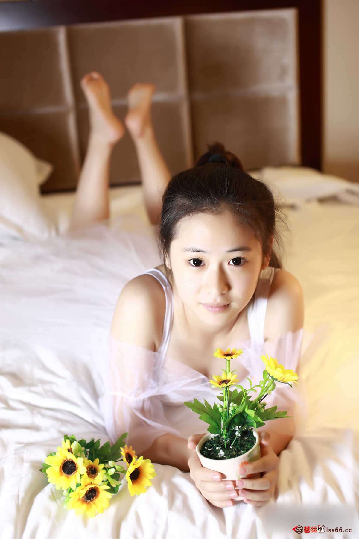 https://www.lss77.com/wp-content/uploads/2019/04/47-120.jpg