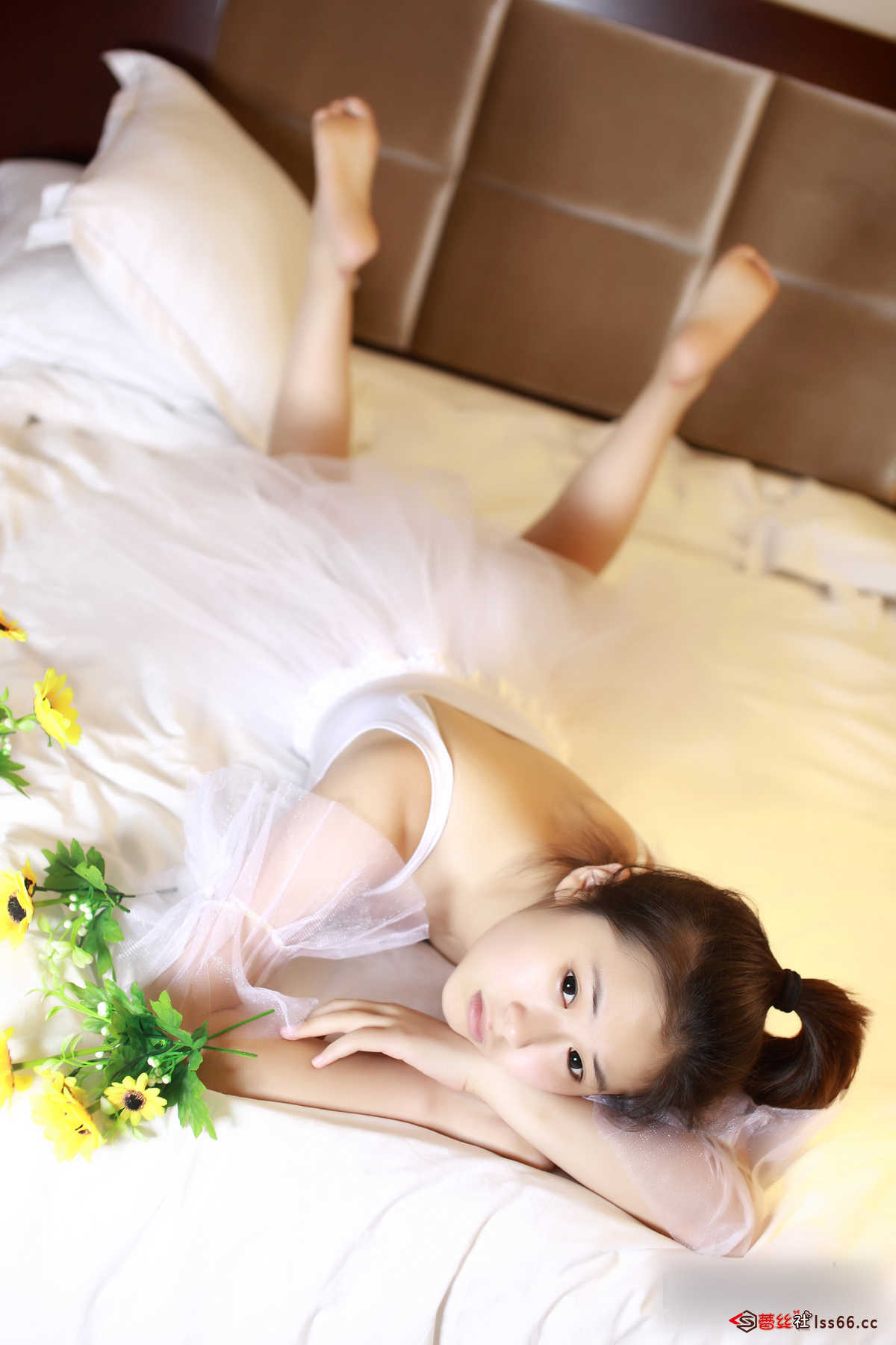 https://www.lss77.com/wp-content/uploads/2019/04/50-121.jpg
