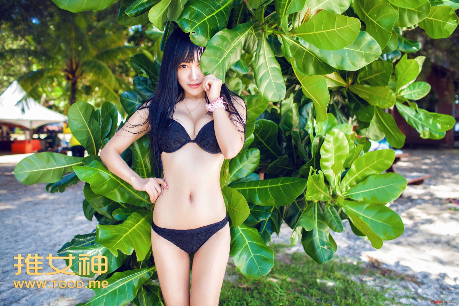 https://www.lss77.com/wp-content/uploads/2019/04/73-6-1600x1067.jpg