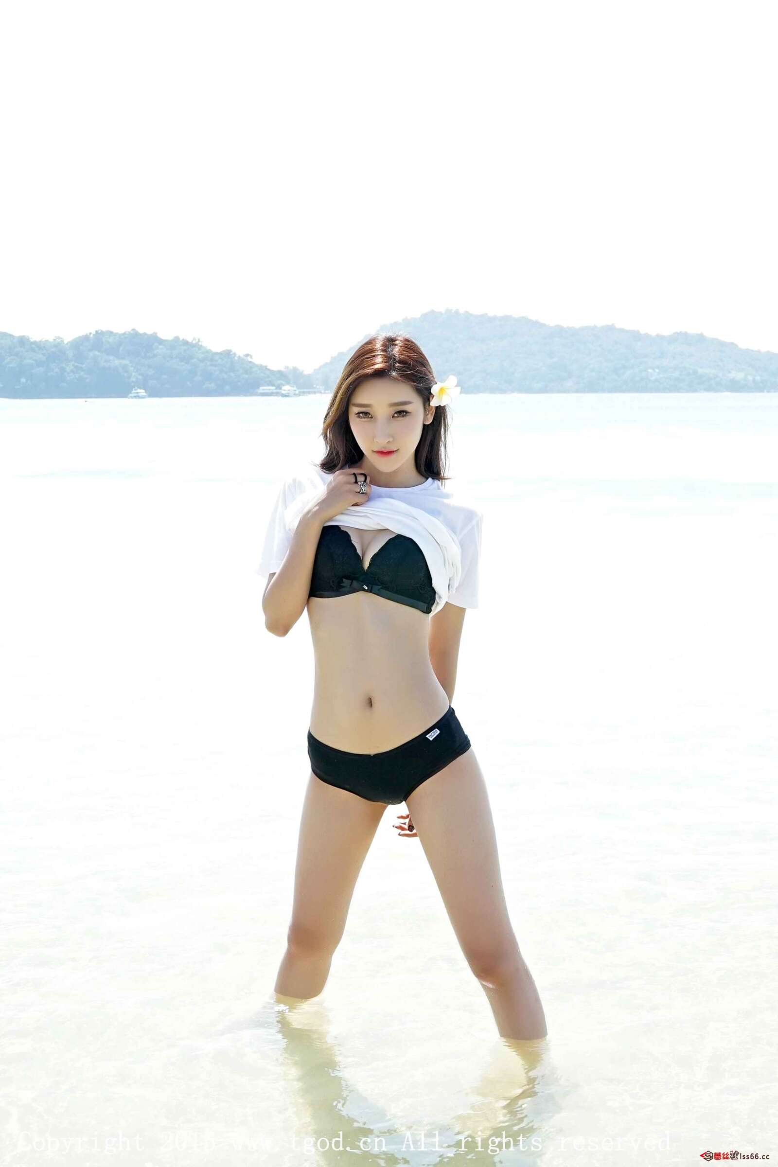 https://www.lss77.com/wp-content/uploads/2019/05/0-15-1600x2400.jpg