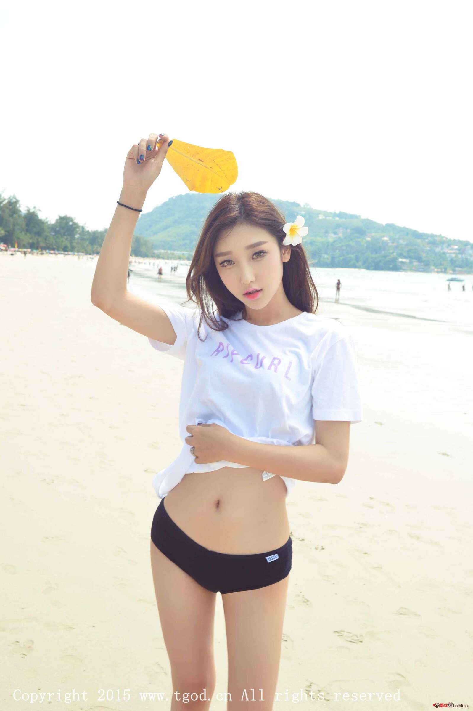 https://www.lss77.com/wp-content/uploads/2019/05/0-62-1598x2400.jpg