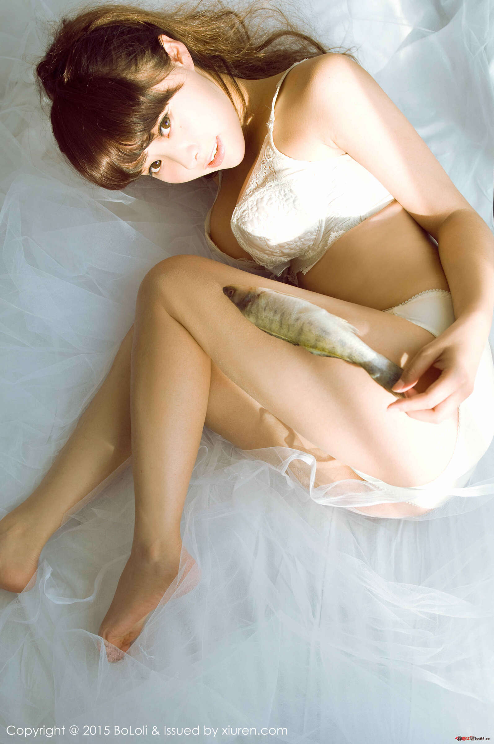 https://www.lss77.com/wp-content/uploads/2019/05/0008-52-1594x2400.jpg