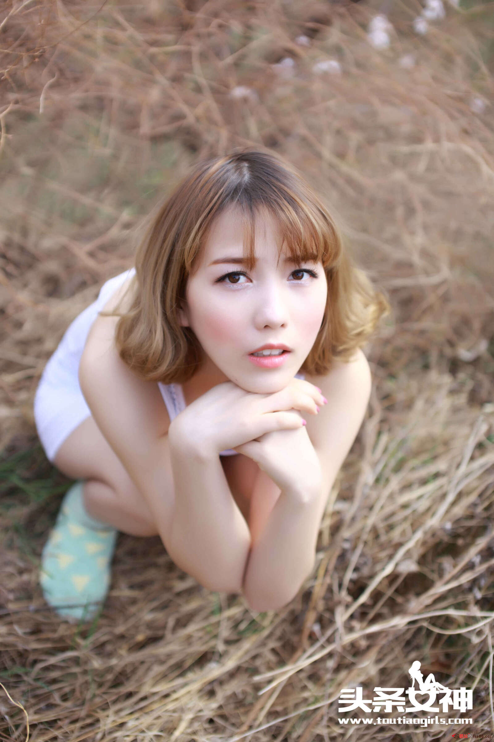 https://www.lss77.com/wp-content/uploads/2019/05/001-81-1600x2400.jpg