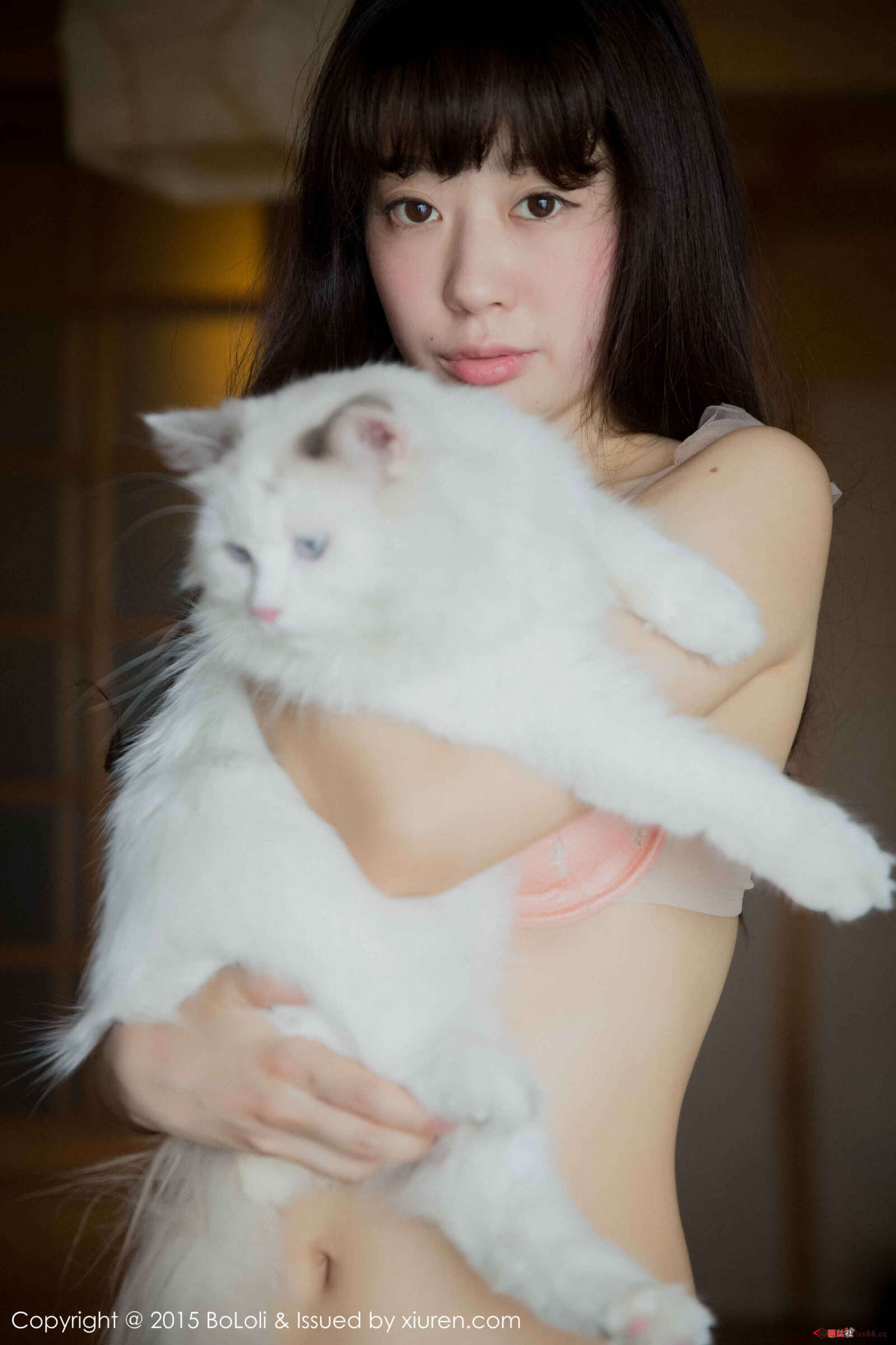 https://www.lss77.com/wp-content/uploads/2019/05/0012-20-1600x2400.jpg