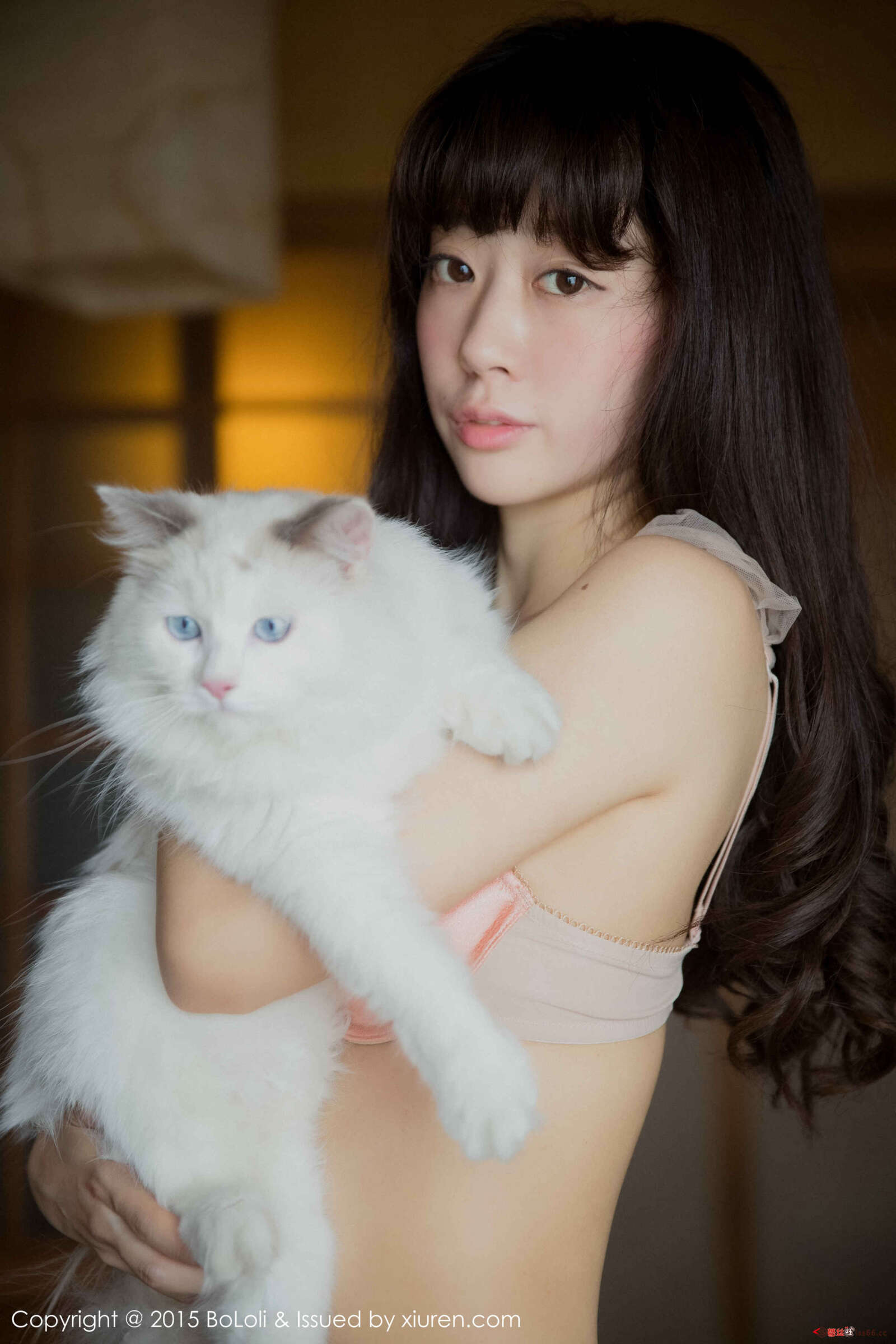 https://www.lss77.com/wp-content/uploads/2019/05/0013-21-1600x2400.jpg