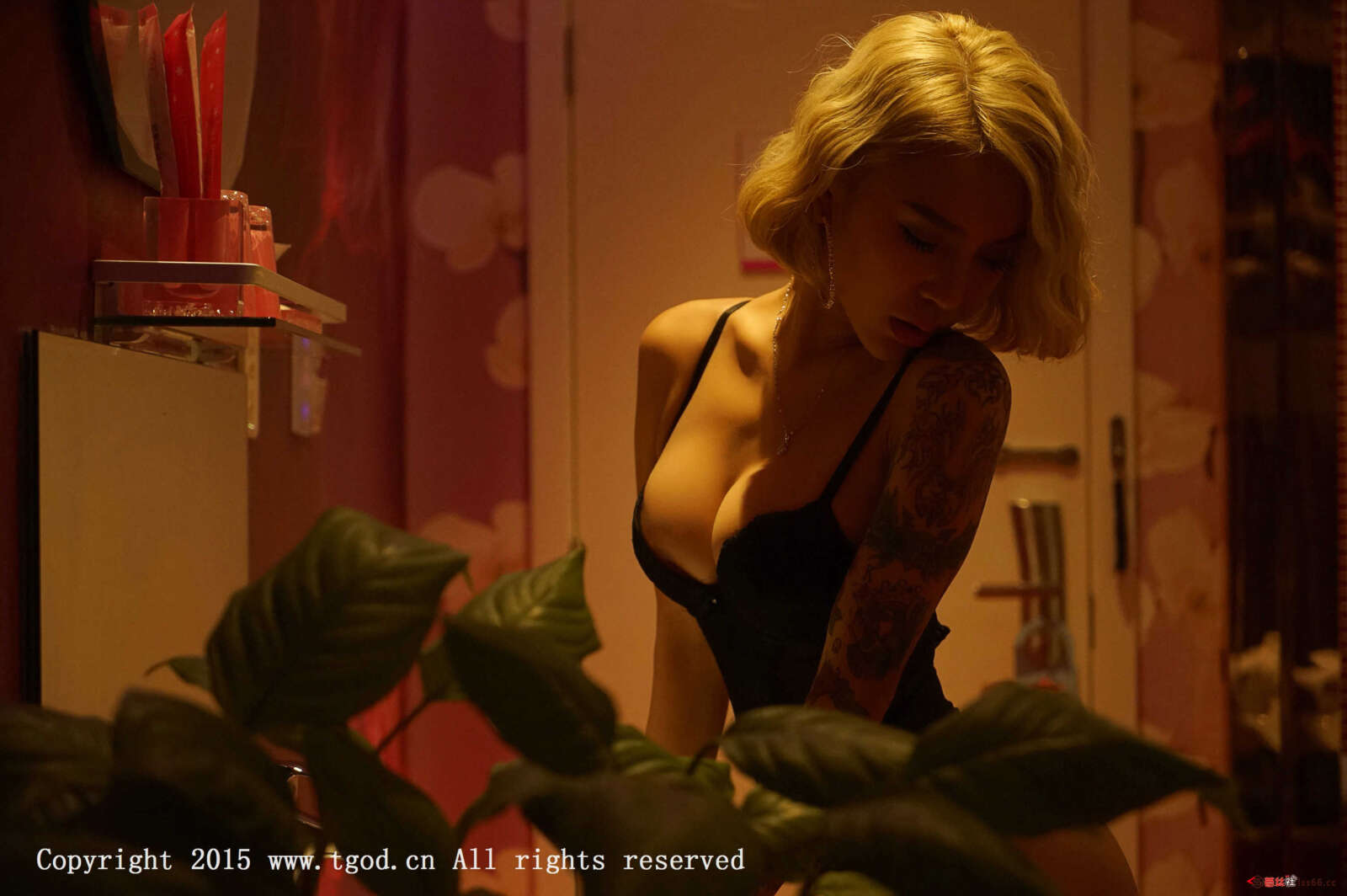 https://www.lss77.com/wp-content/uploads/2019/05/12-60-1600x1064.jpg