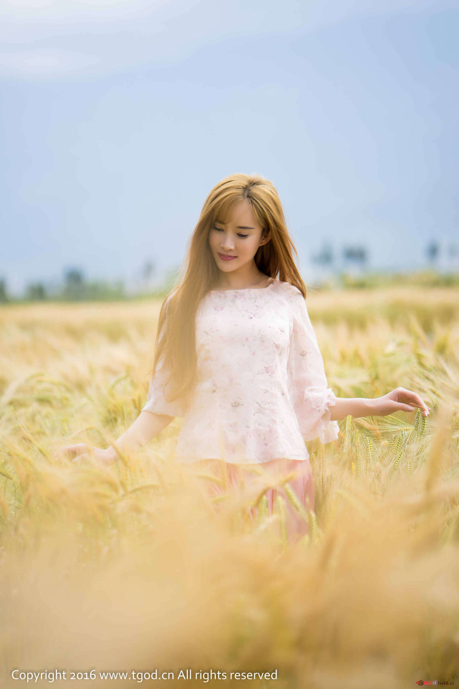 https://www.lss77.com/wp-content/uploads/2019/05/12-83-1600x2400.jpg