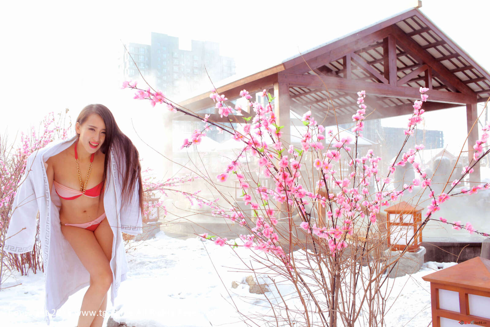 https://www.lss77.com/wp-content/uploads/2019/05/22-33-1600x1067.jpg