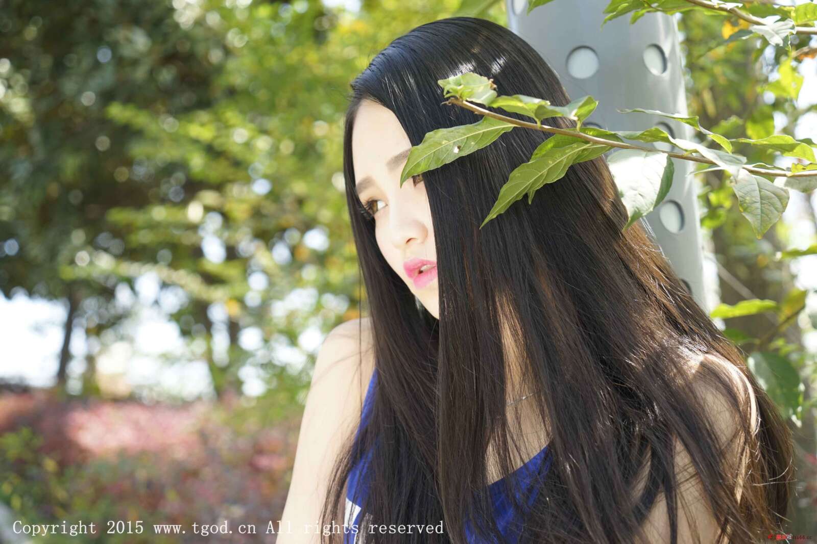 https://www.lss77.com/wp-content/uploads/2019/05/33-47-1600x1067.jpg