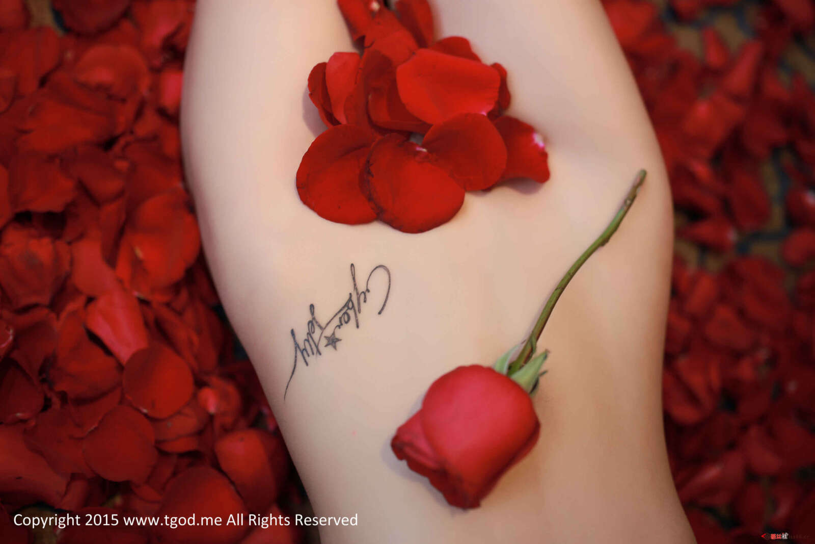 https://www.lss77.com/wp-content/uploads/2019/05/35-14-1600x1067.jpg