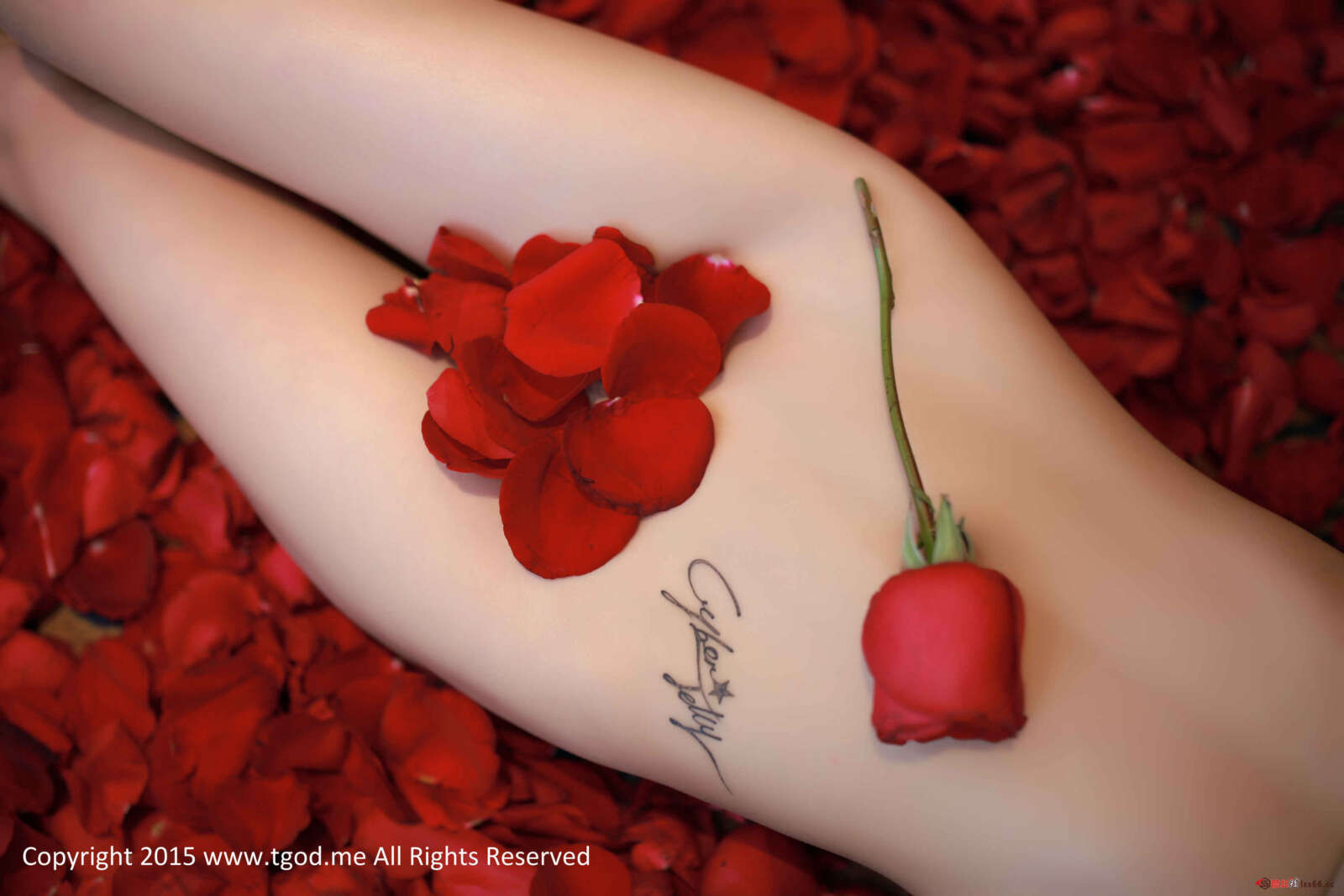 https://www.lss77.com/wp-content/uploads/2019/05/36-14-1600x1067.jpg