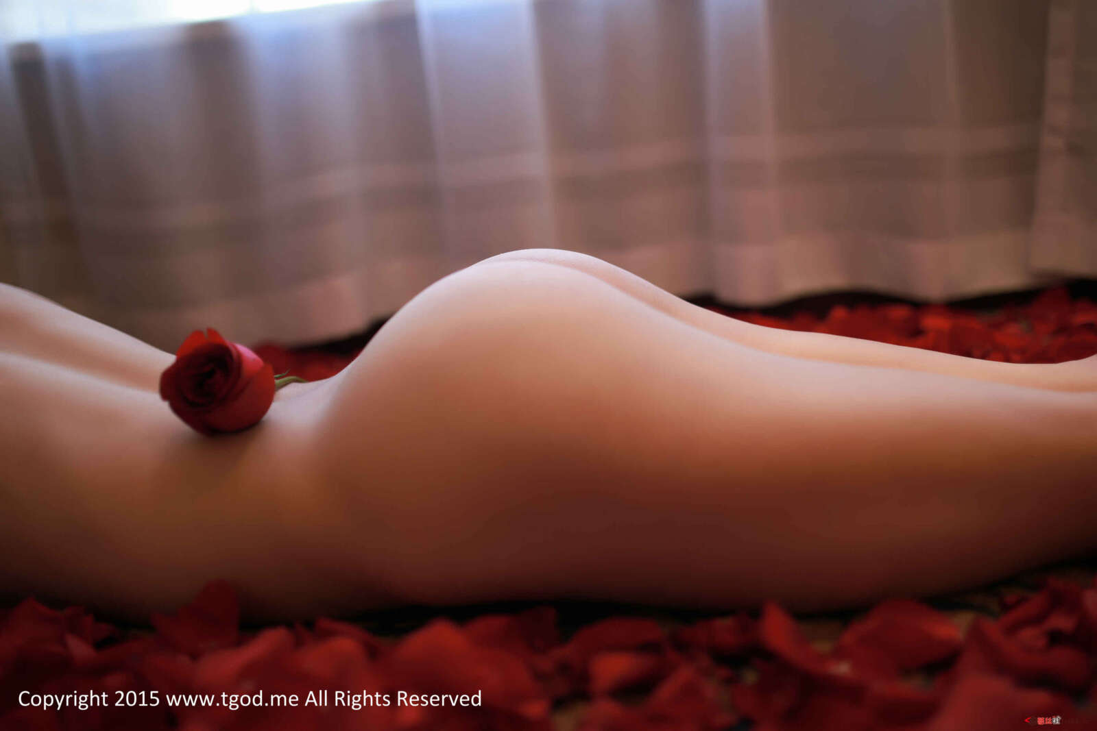 https://www.lss77.com/wp-content/uploads/2019/05/38-14-1600x1067.jpg
