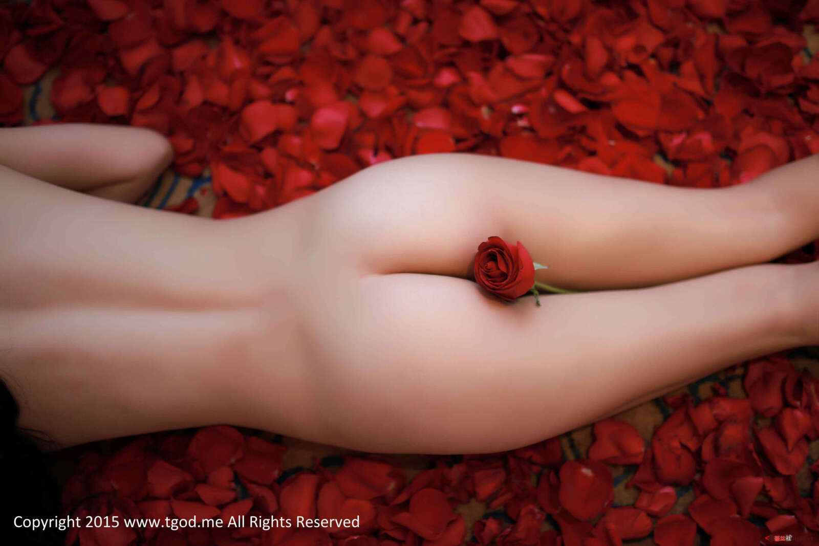 https://www.lss77.com/wp-content/uploads/2019/05/39-14-1600x1067.jpg