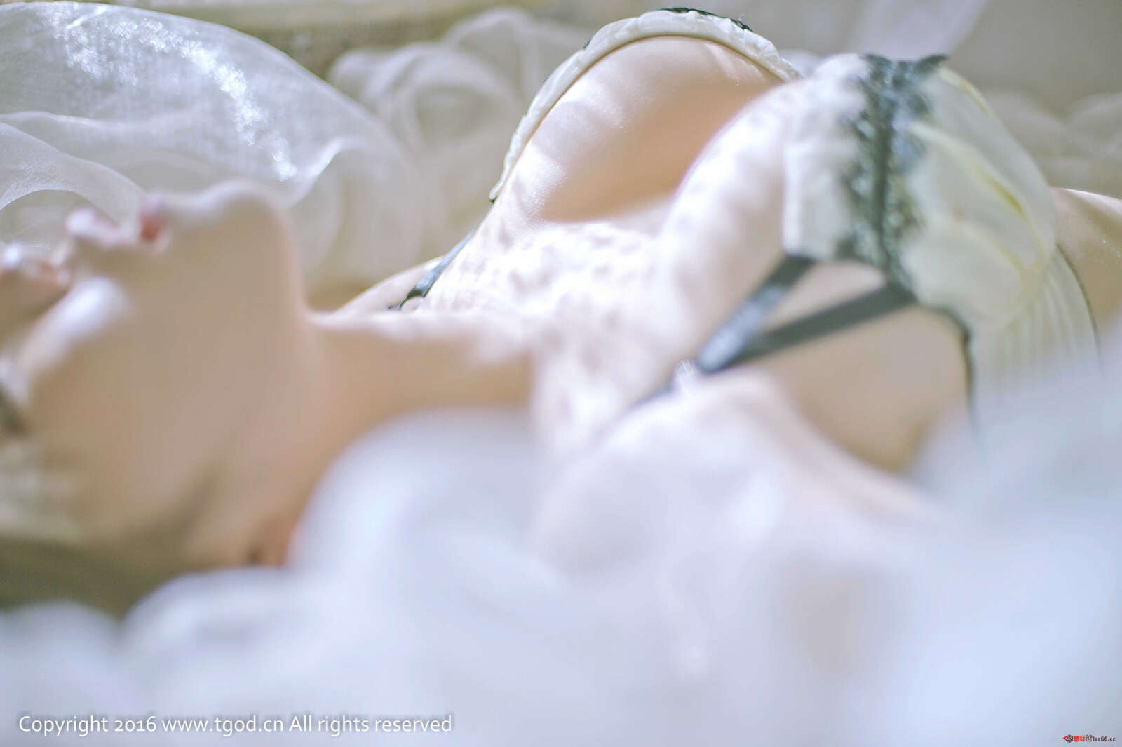 https://www.lss77.com/wp-content/uploads/2019/05/39-89-1600x1065.jpg